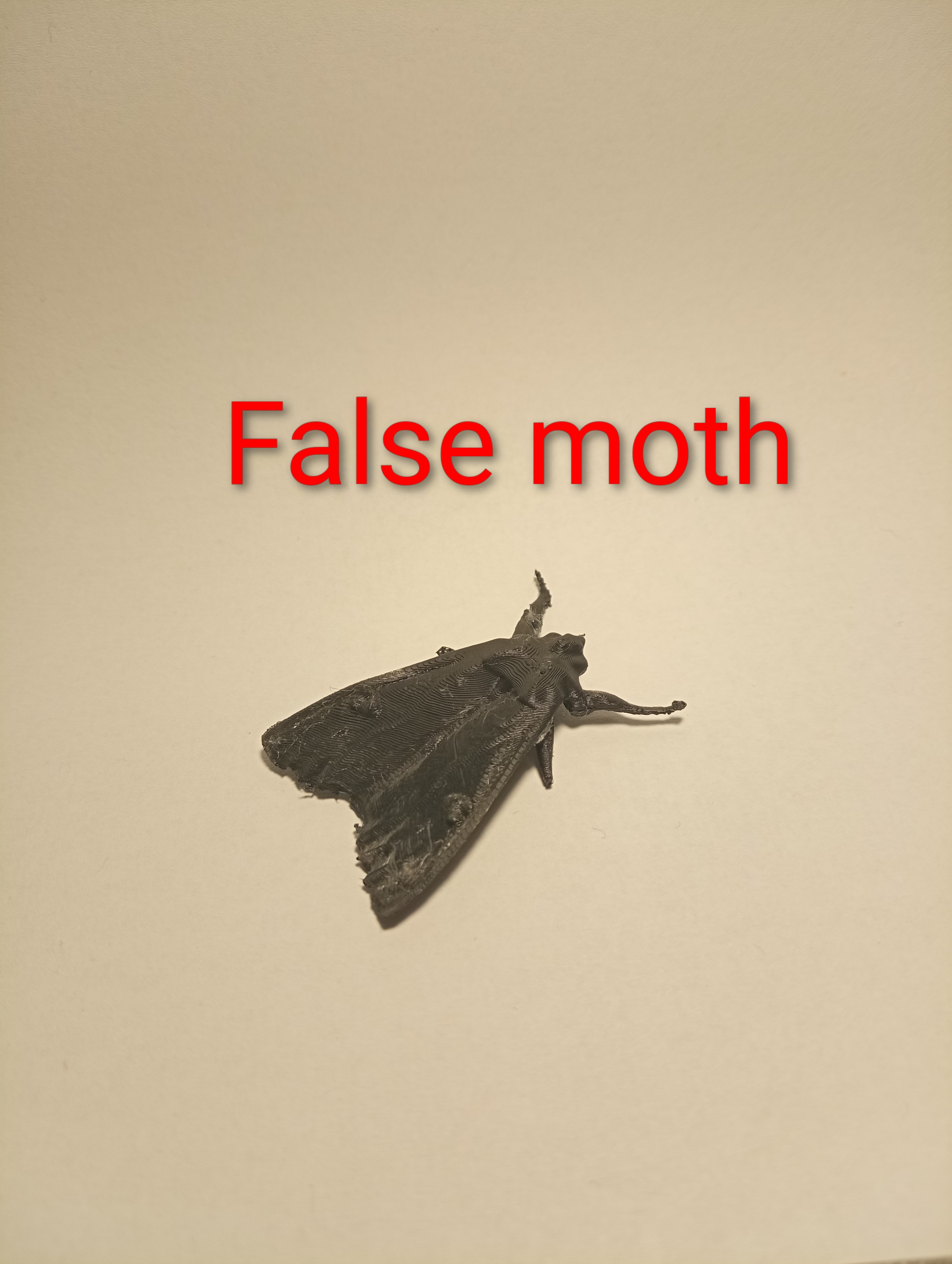 fake moth  (prank)