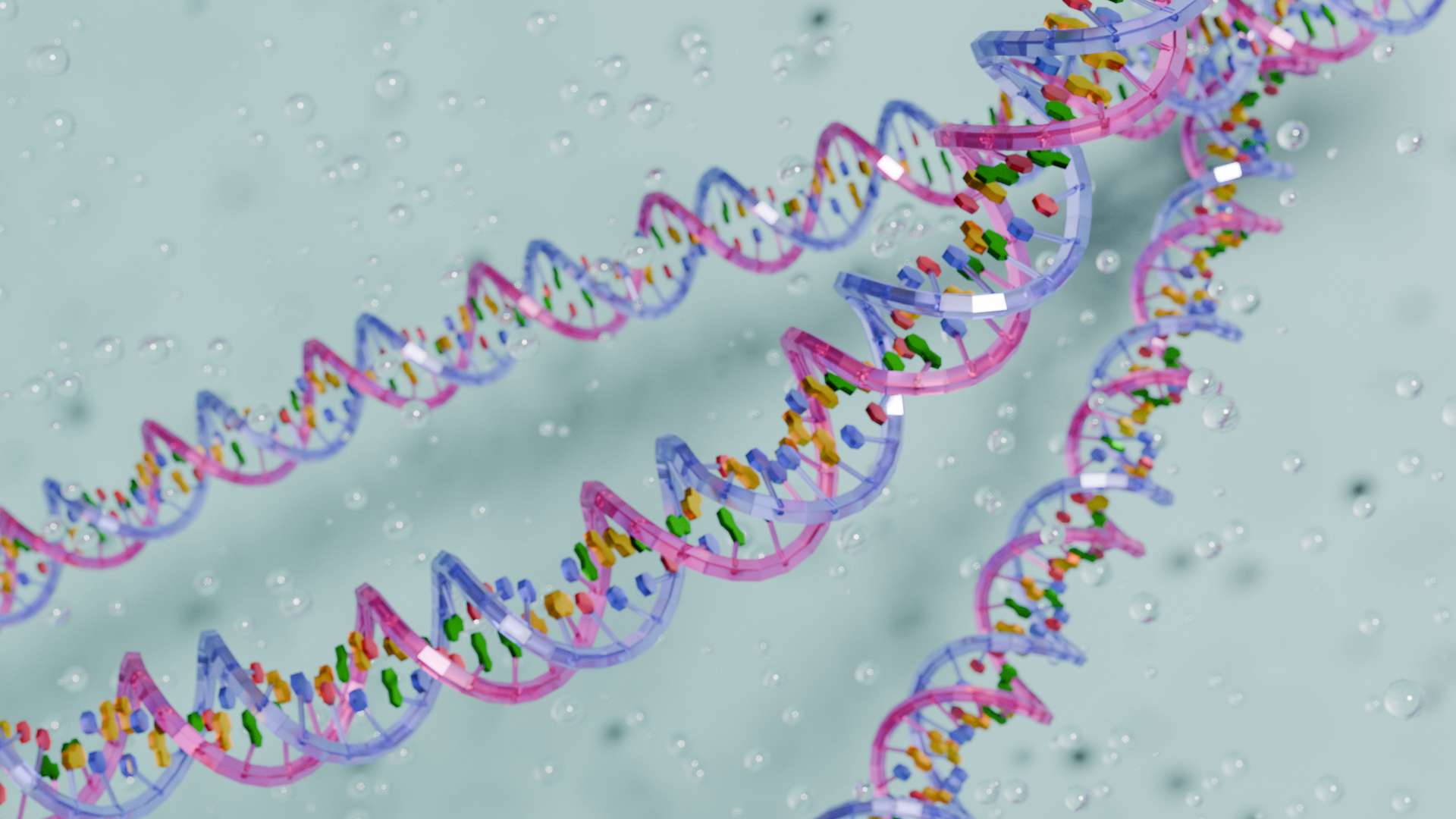 Miniatura 3 do modelo 3D DNA Model
