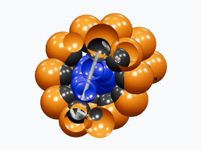 Customizable DNA Double Helix Segment (10 bp) - Labeled 3D Molecule Model