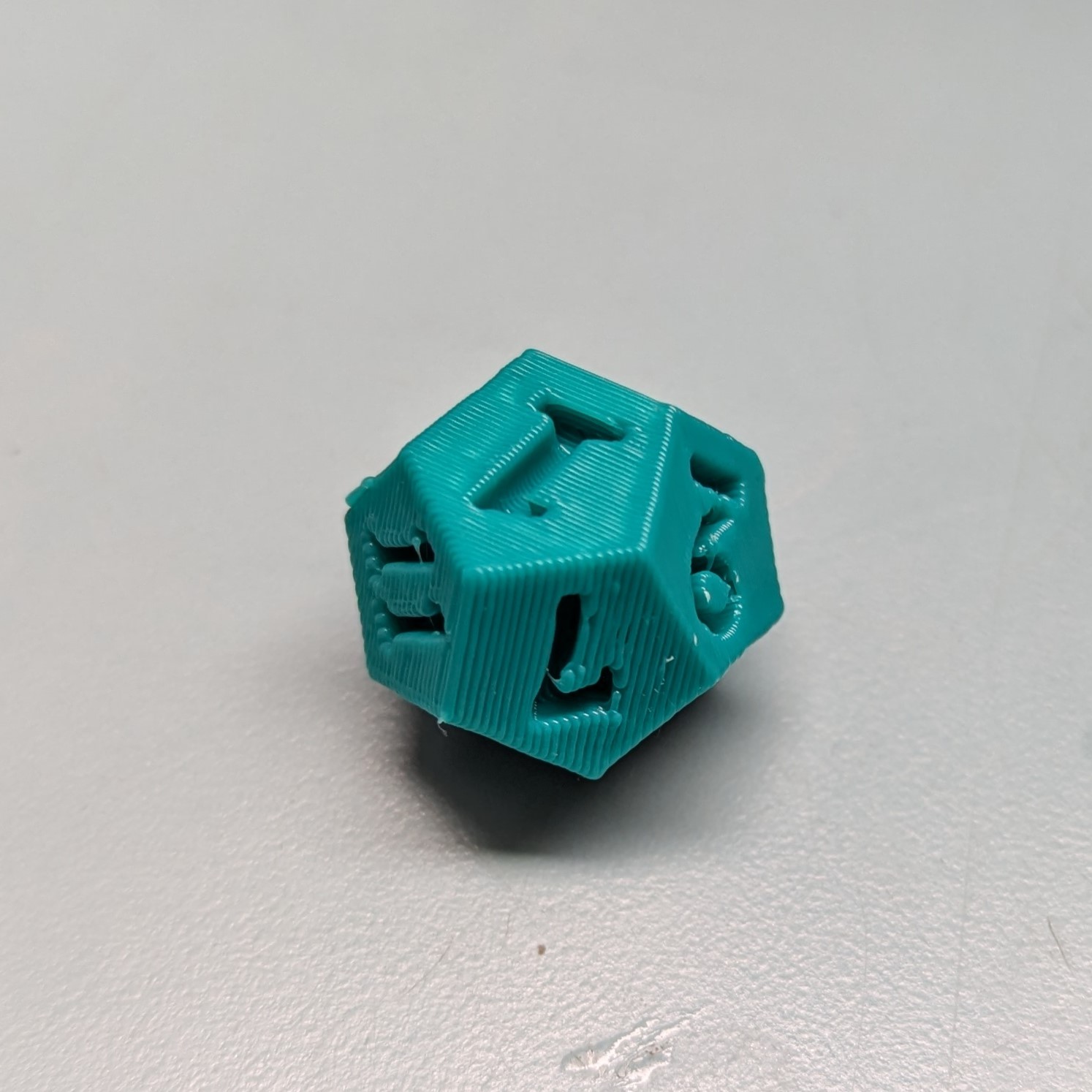 D12 Dice (Blank Included) – Dungeons and Dragons Twelve Side