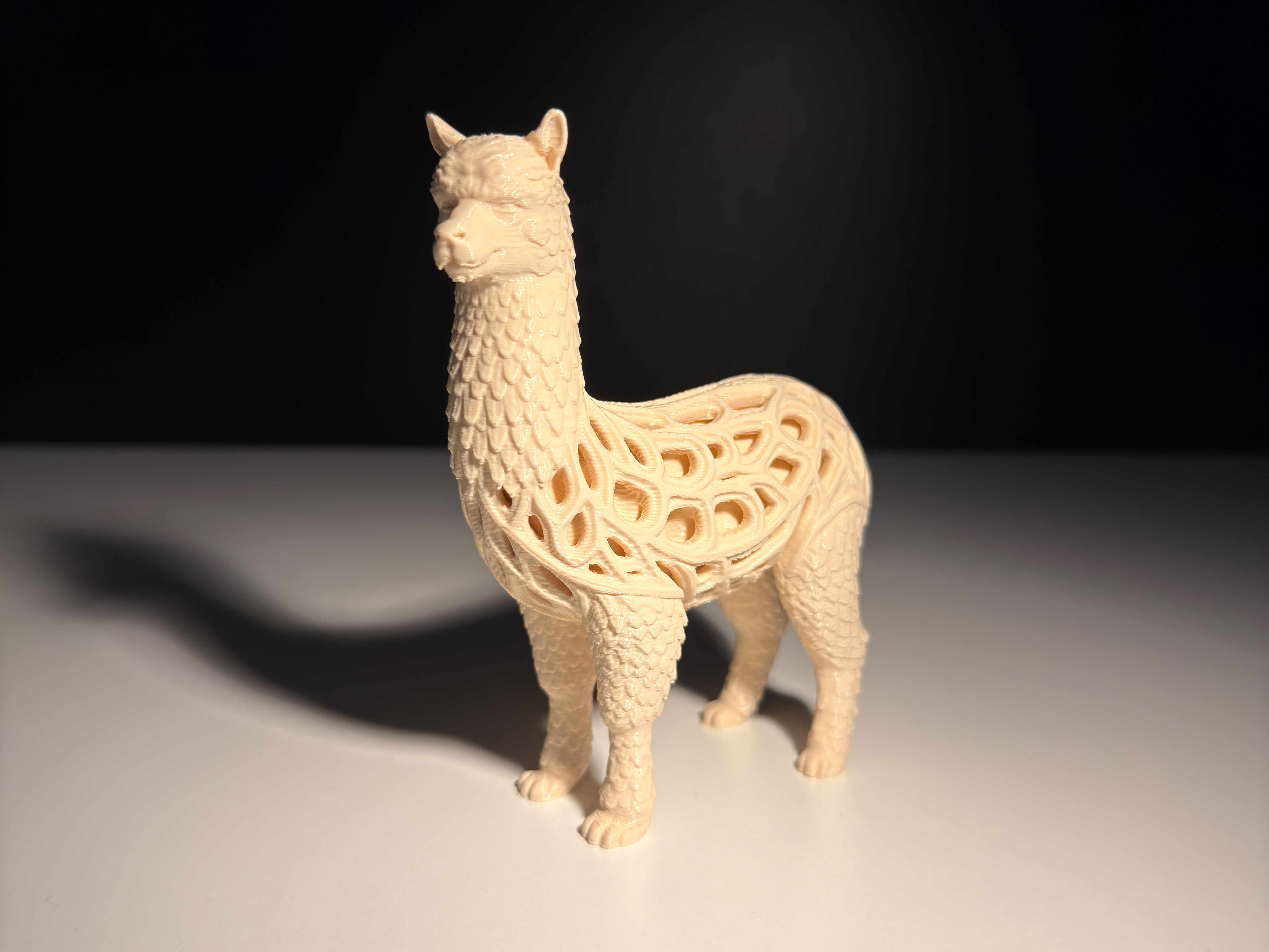 Alpaca