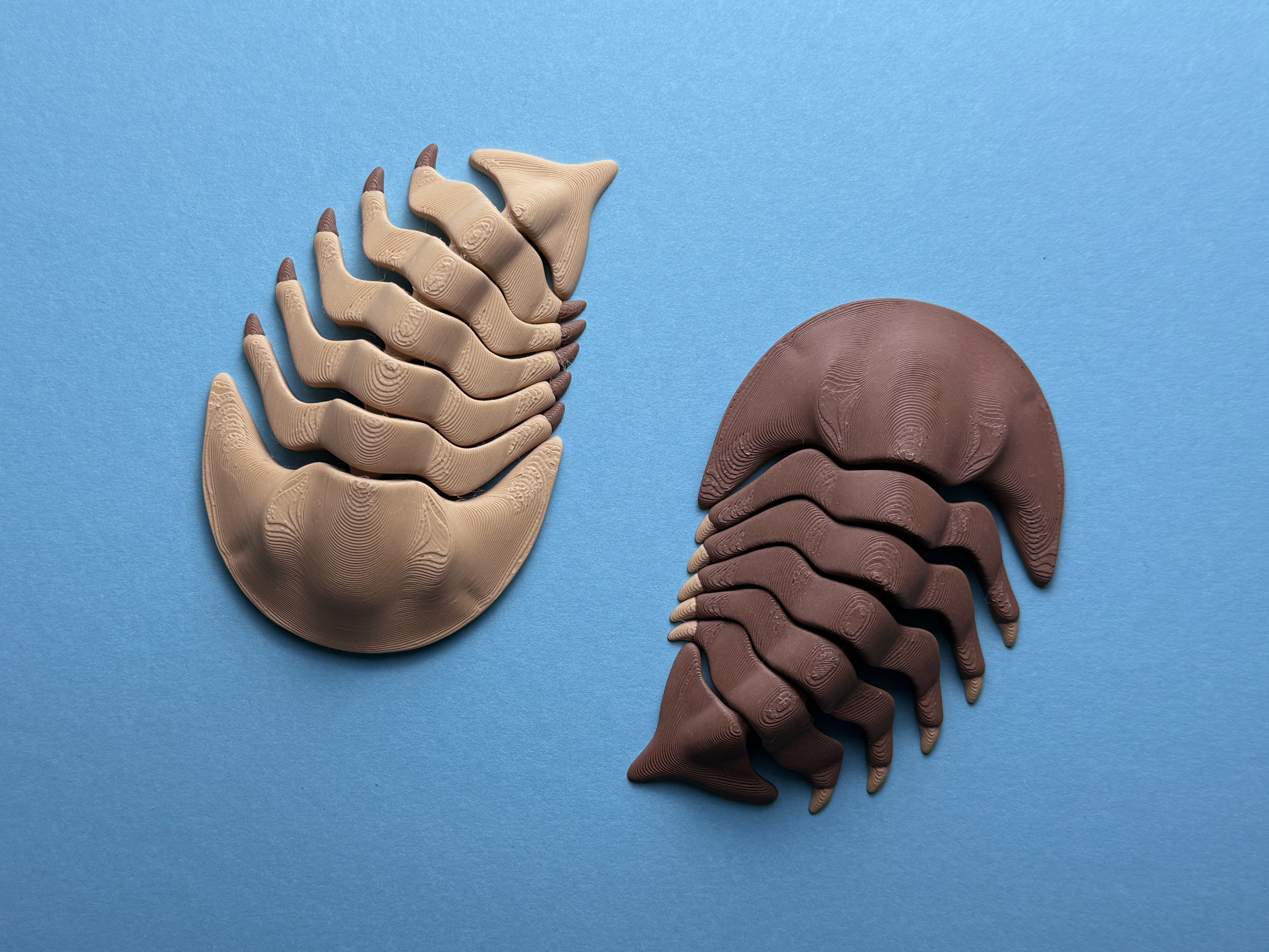 Articulated Trilobite