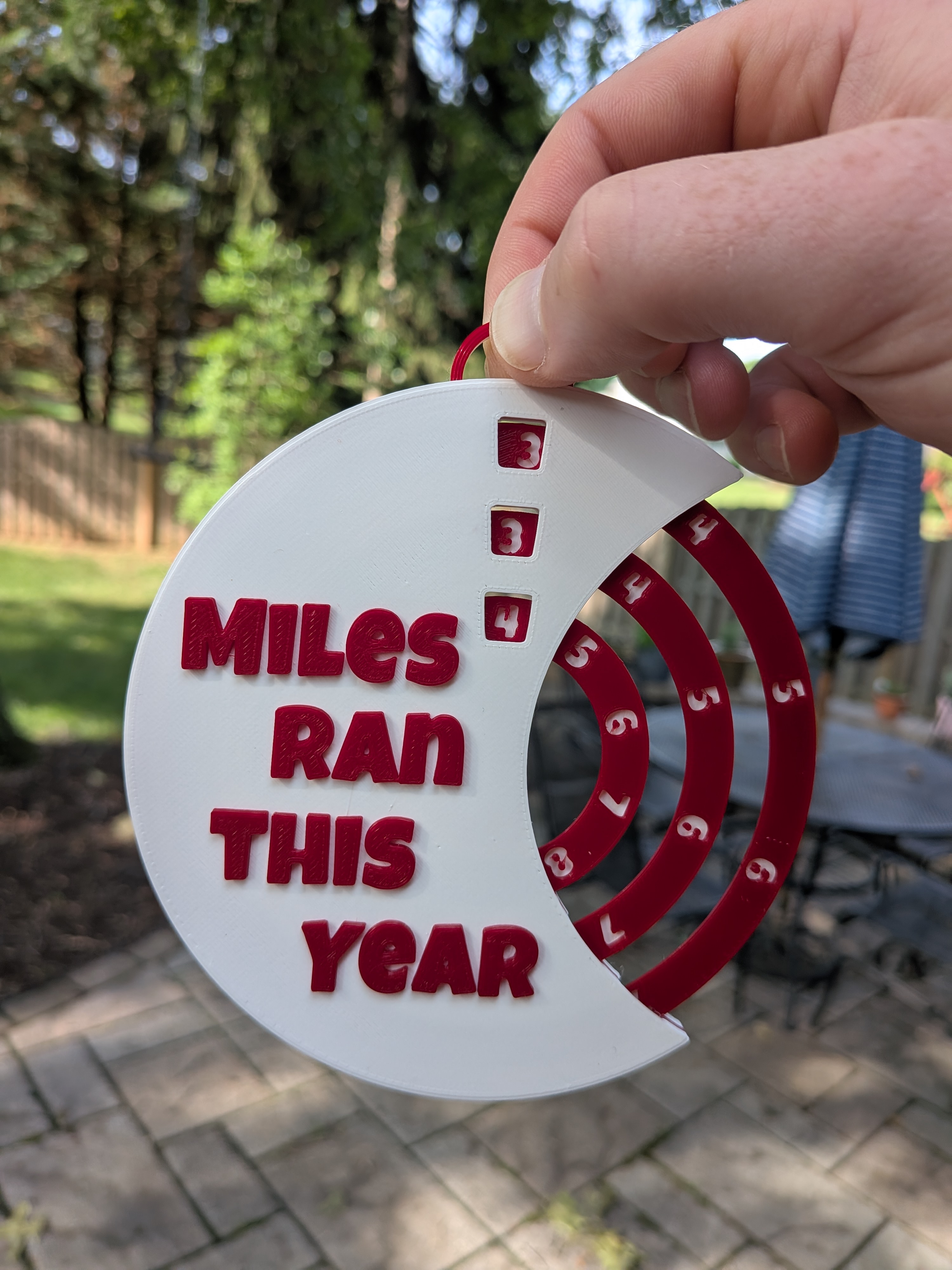 Miles Ran This Year Counter