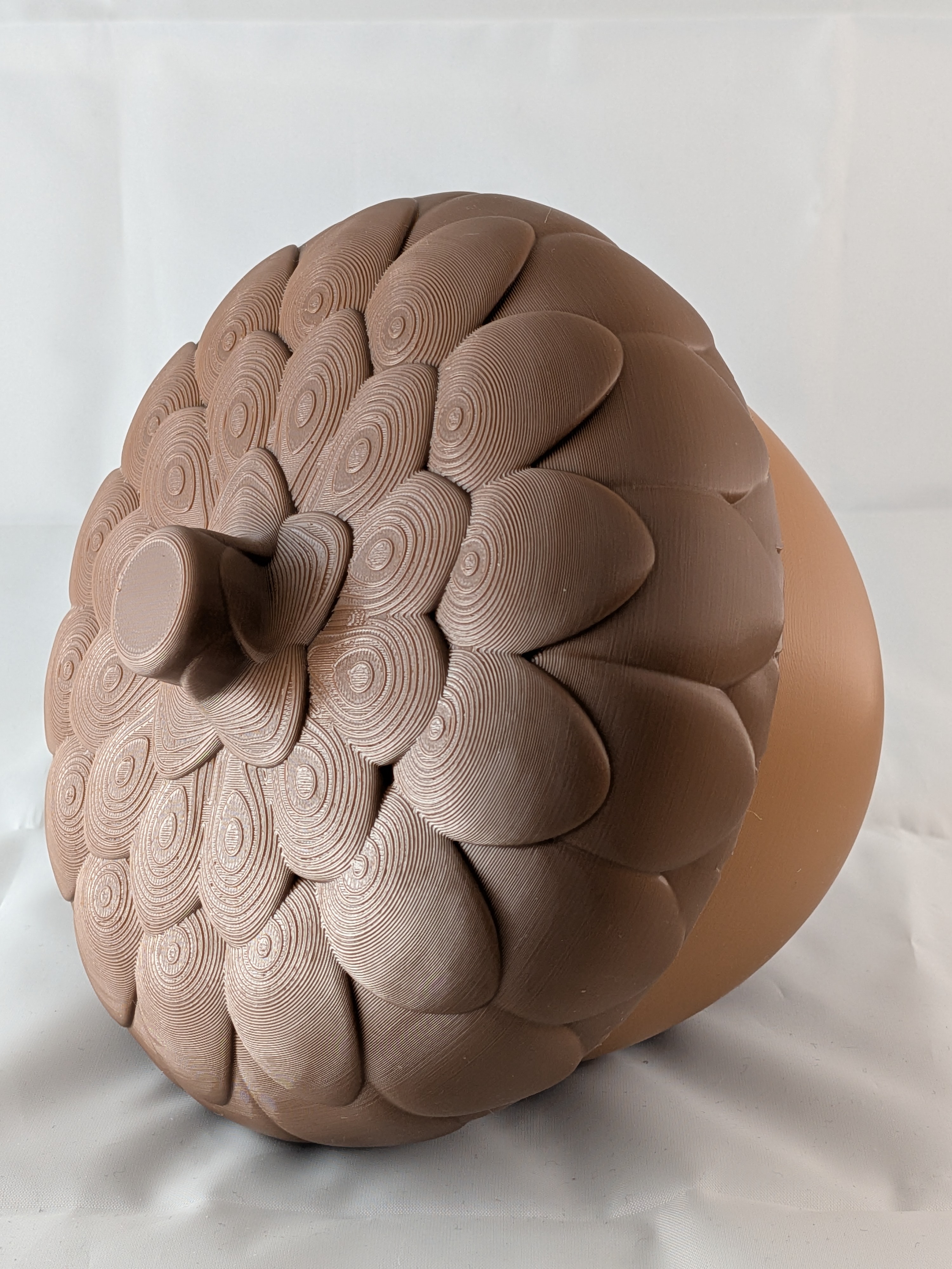 Acorn Storage Container — miniatura 6