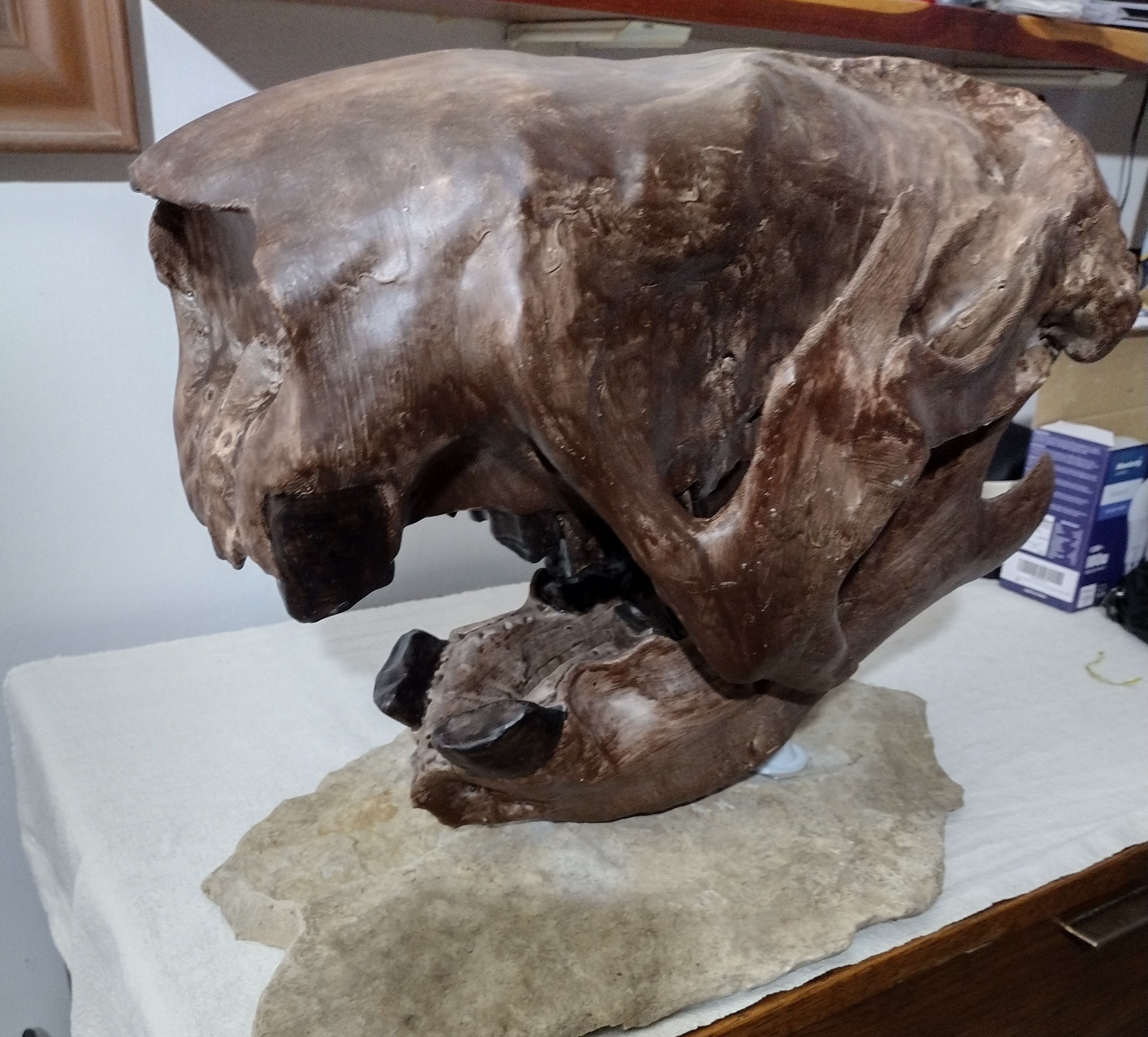 Giant Ground Sloth (megalonyx jeffersonii)