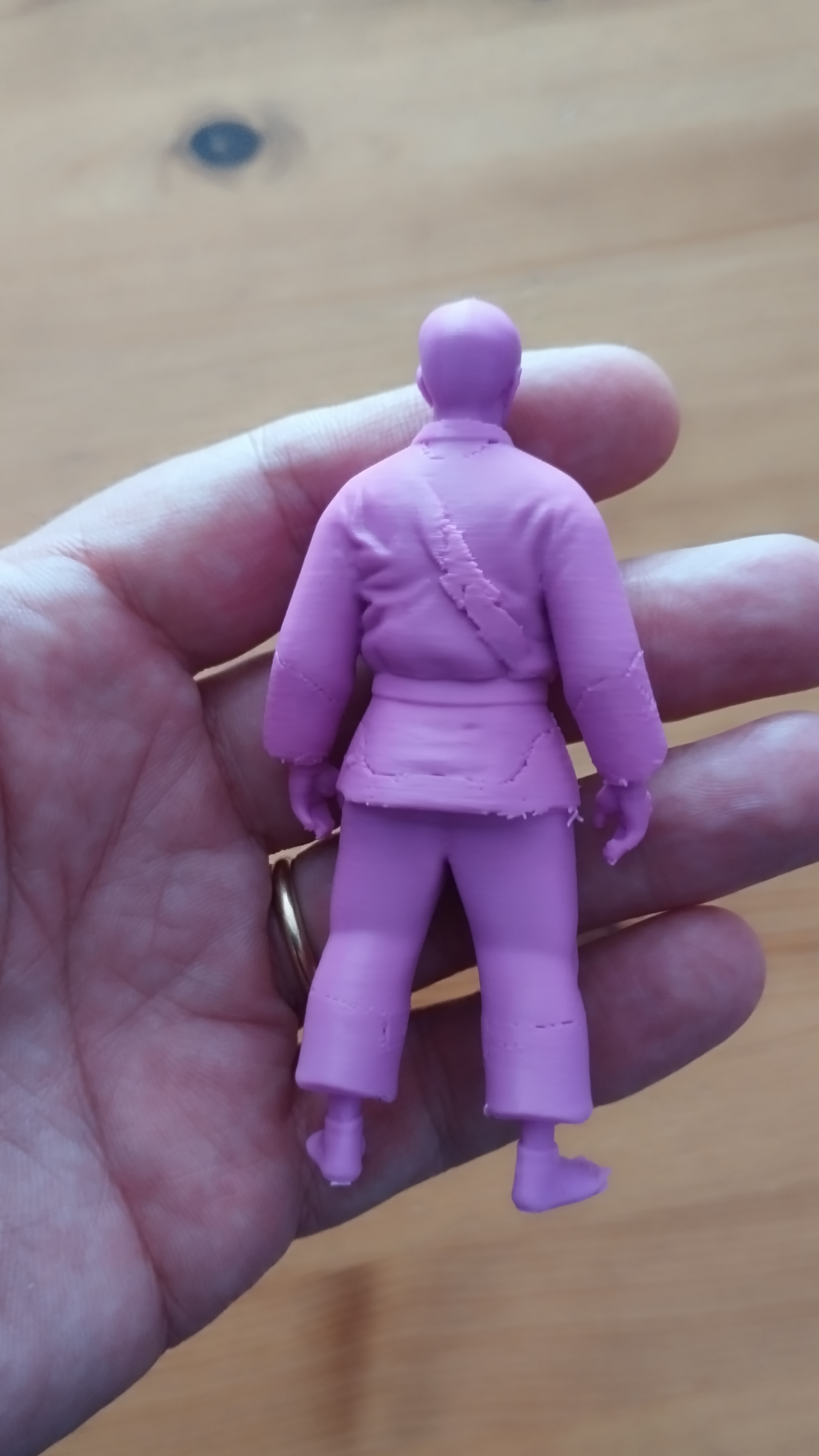 Judoka — miniatura 7