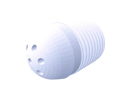 Shower Nozzle