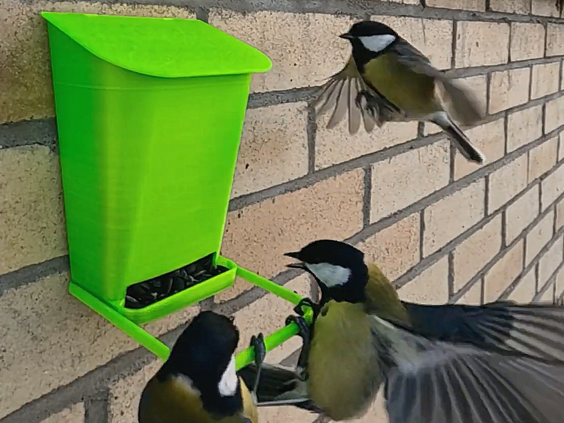 Wall bird feeder — thumbnail 5