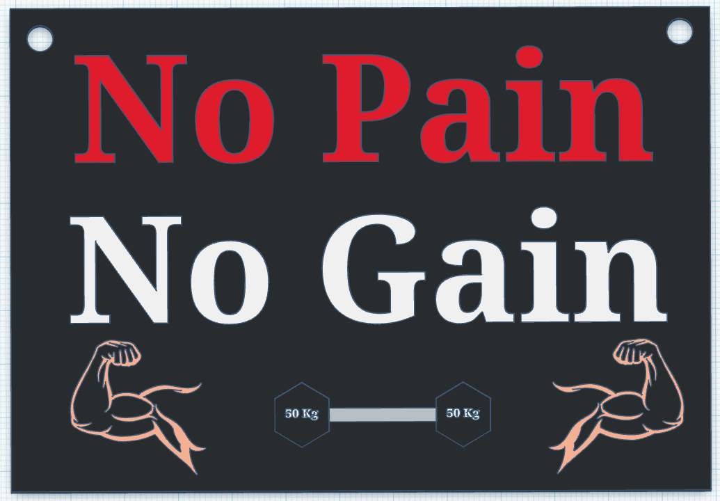 No Pain No Gain! Sign