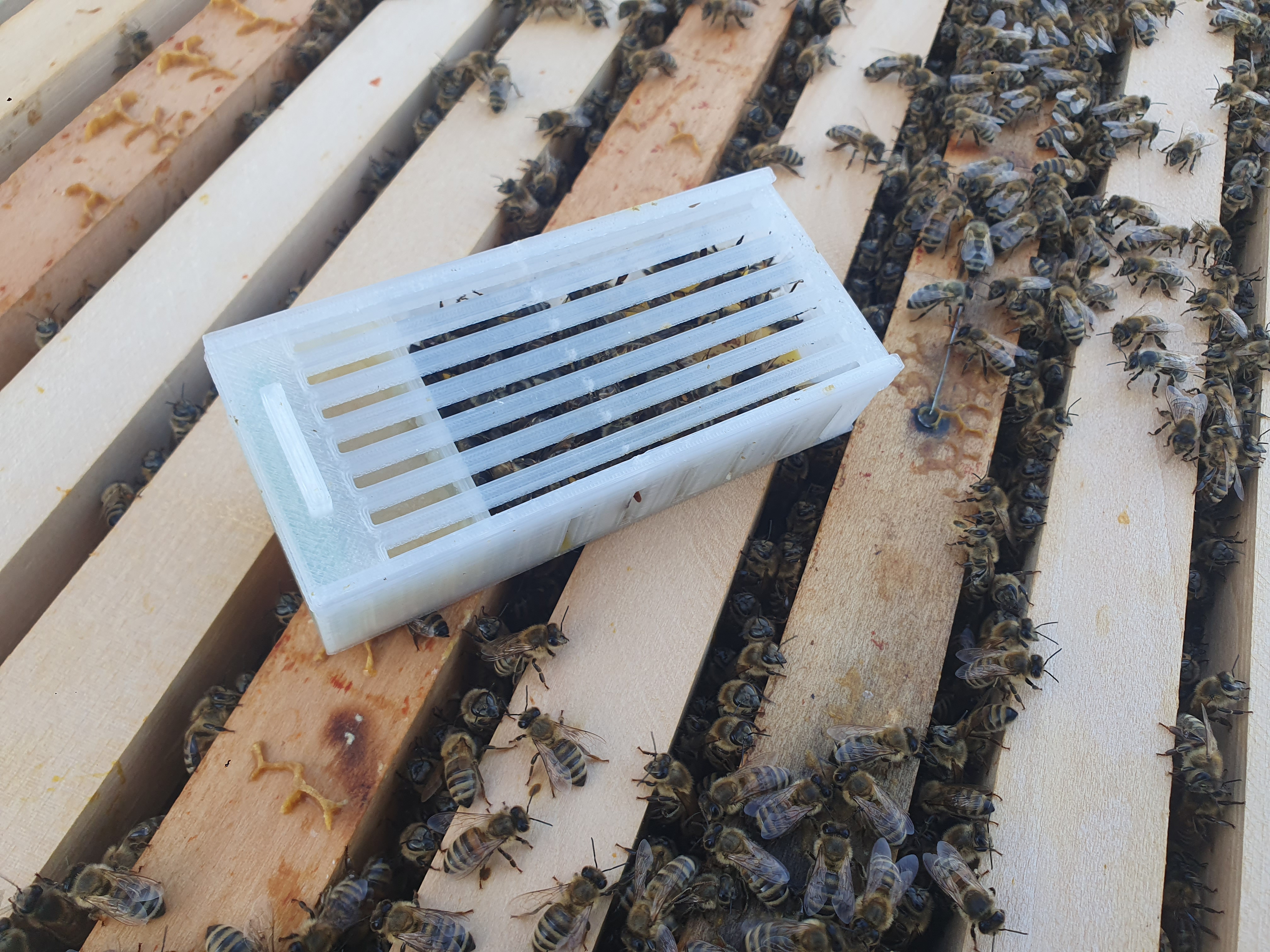 Miniatura 2 do modelo 3D bee queen box