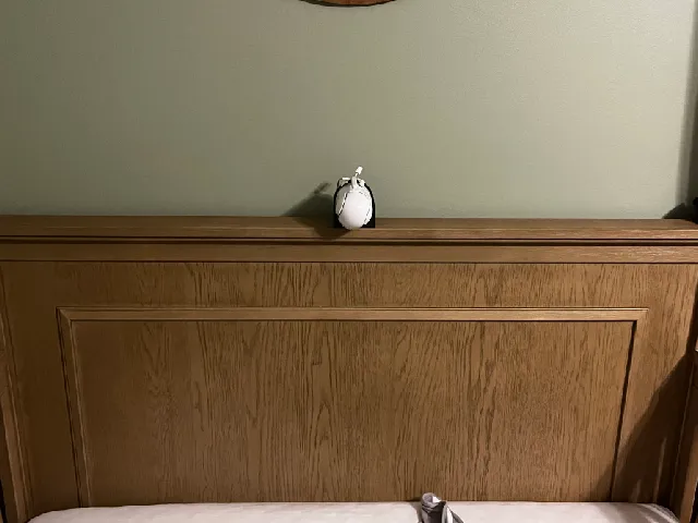 Infant Optics Crib Mount
