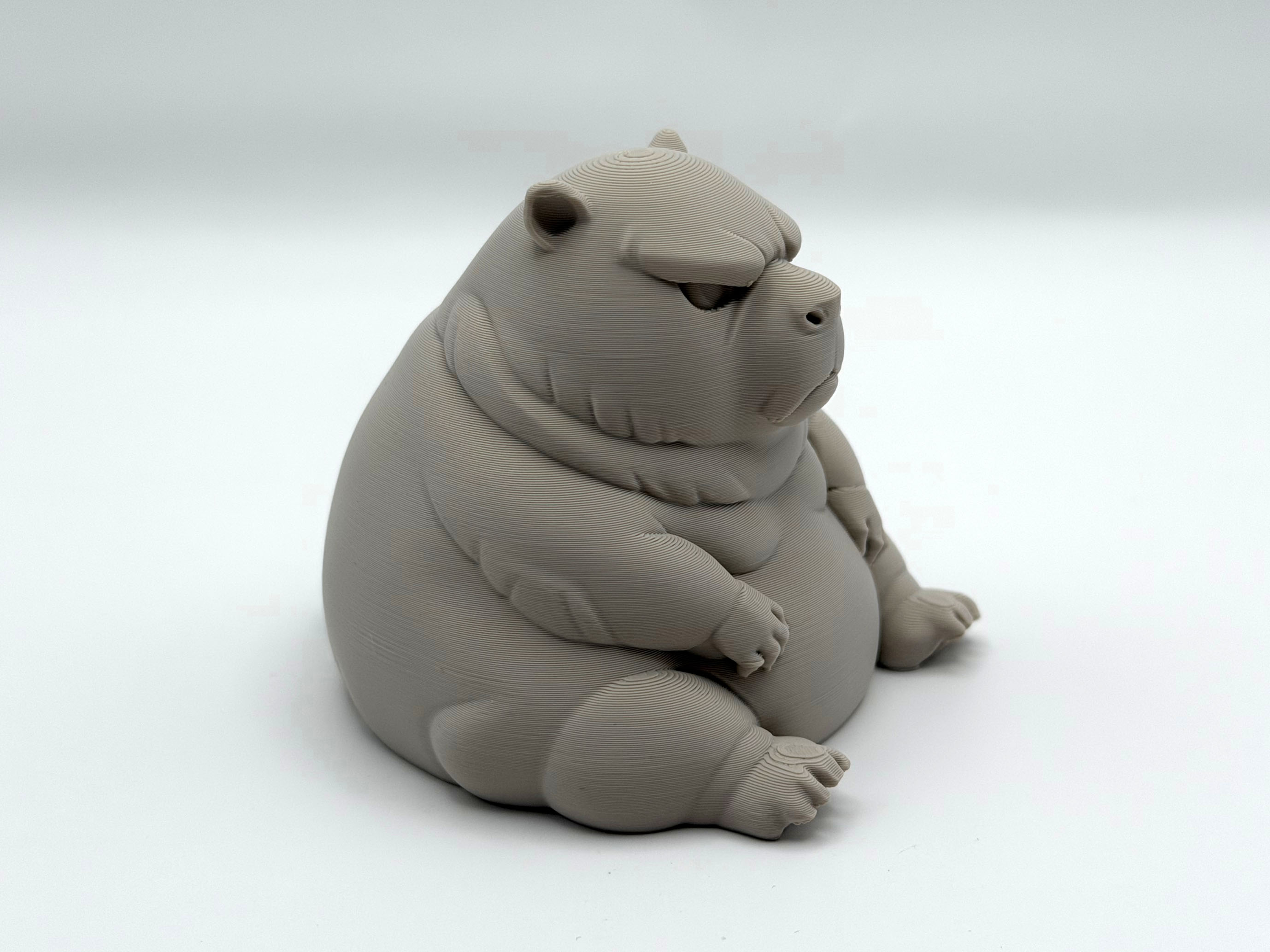 Chonky Grumpy Capybara — miniatura 5
