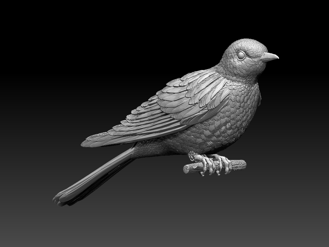 cuckoo