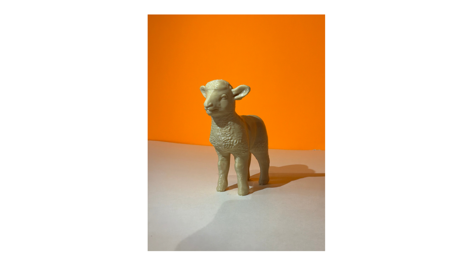 Lamb