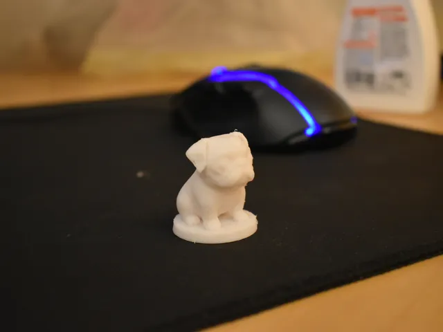 small dog (pug)