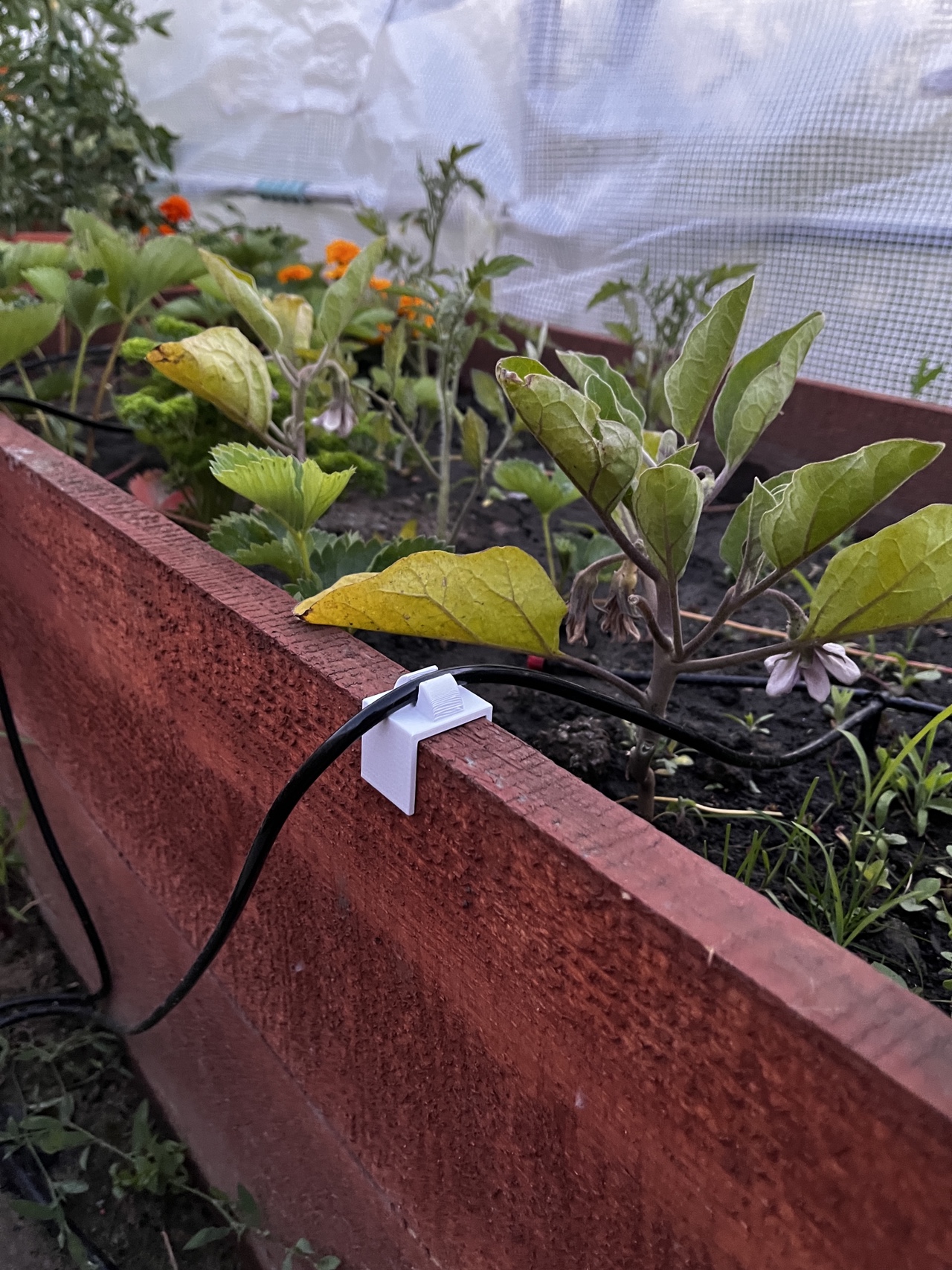 Raised Bed Hook For Microdrip Pipe
