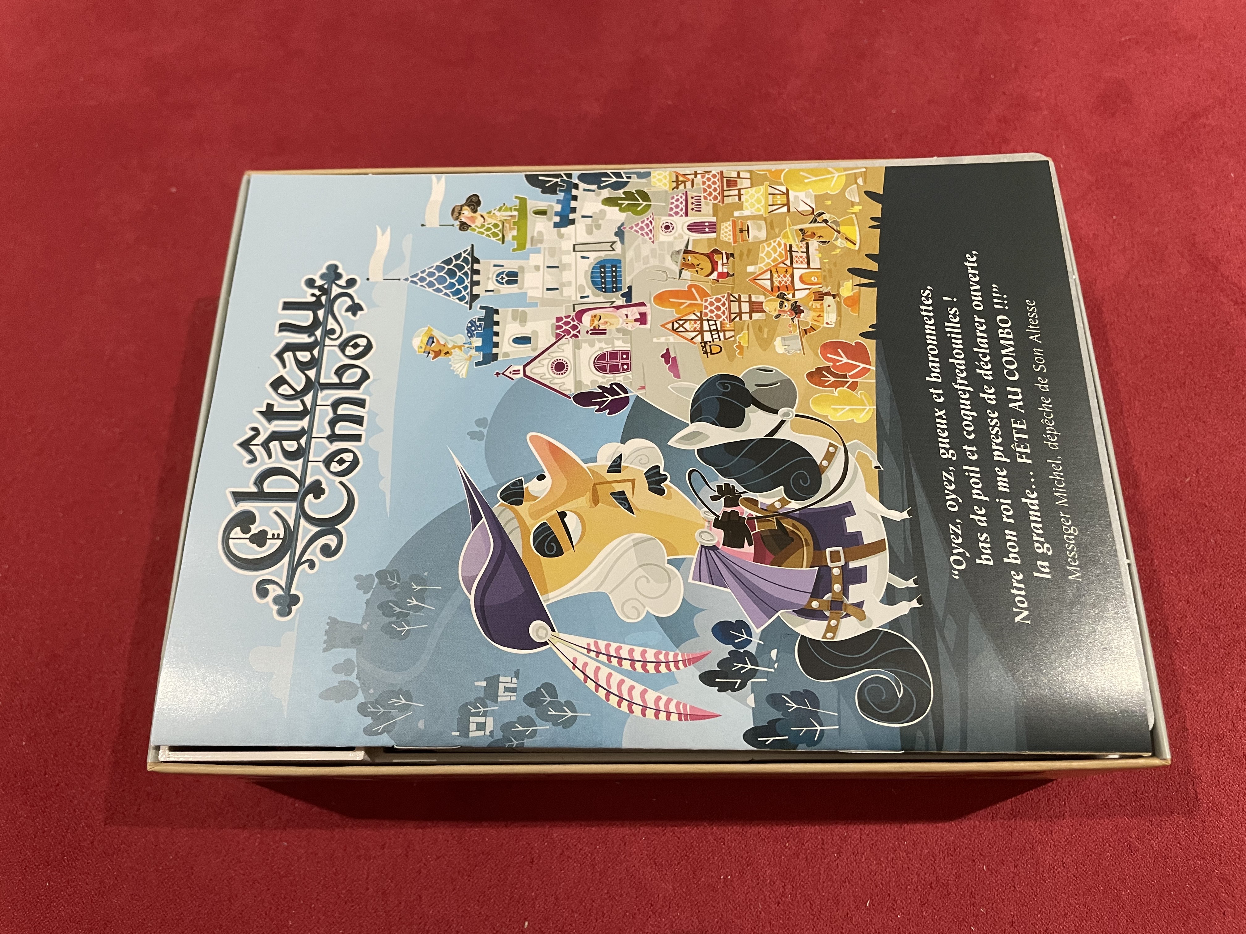 Miniatura 3 do modelo 3D Château/Castle Combo Insert