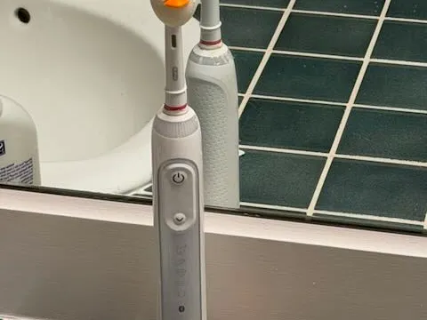 Duck Head Toothbrush Cover for Oral-B
