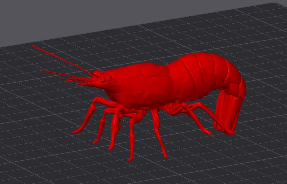 Cherry Shrimp