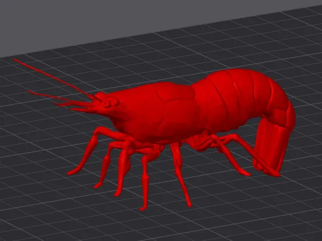 Cherry Shrimp