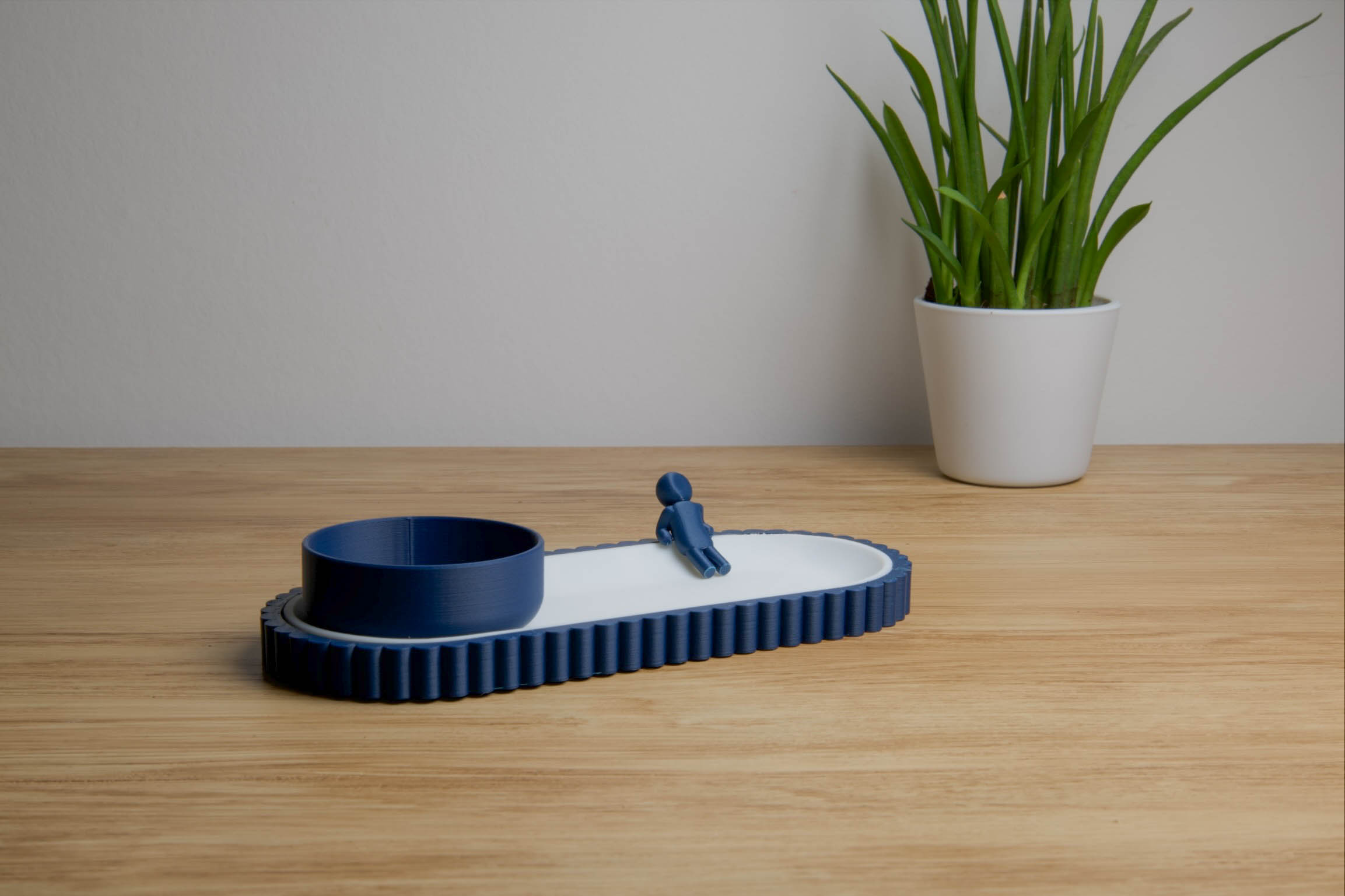 Relaxing catchall tray