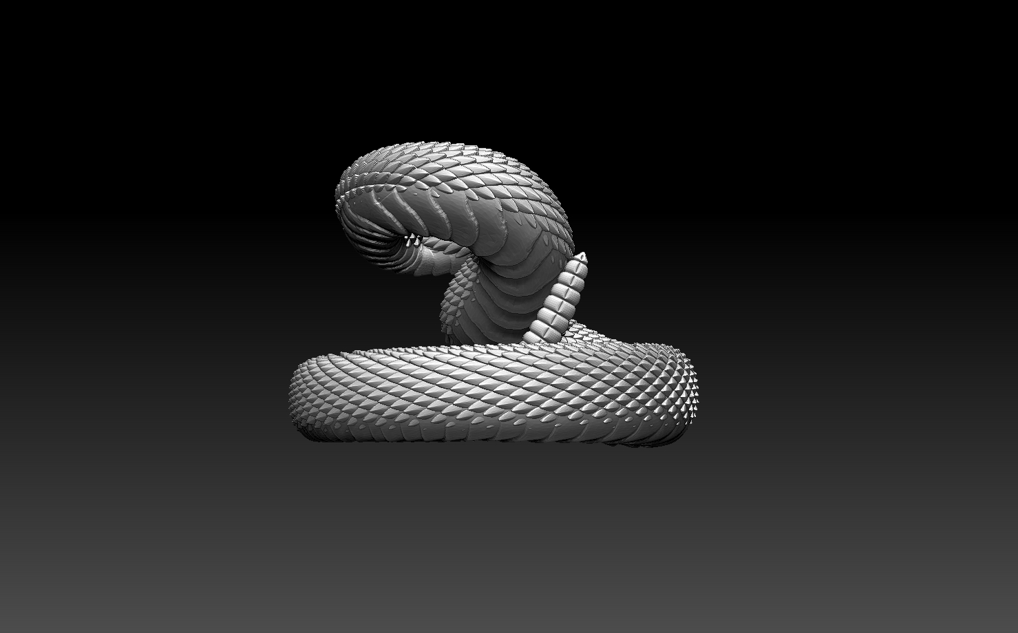 snakes — miniatura 11