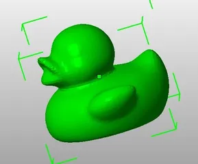 duck