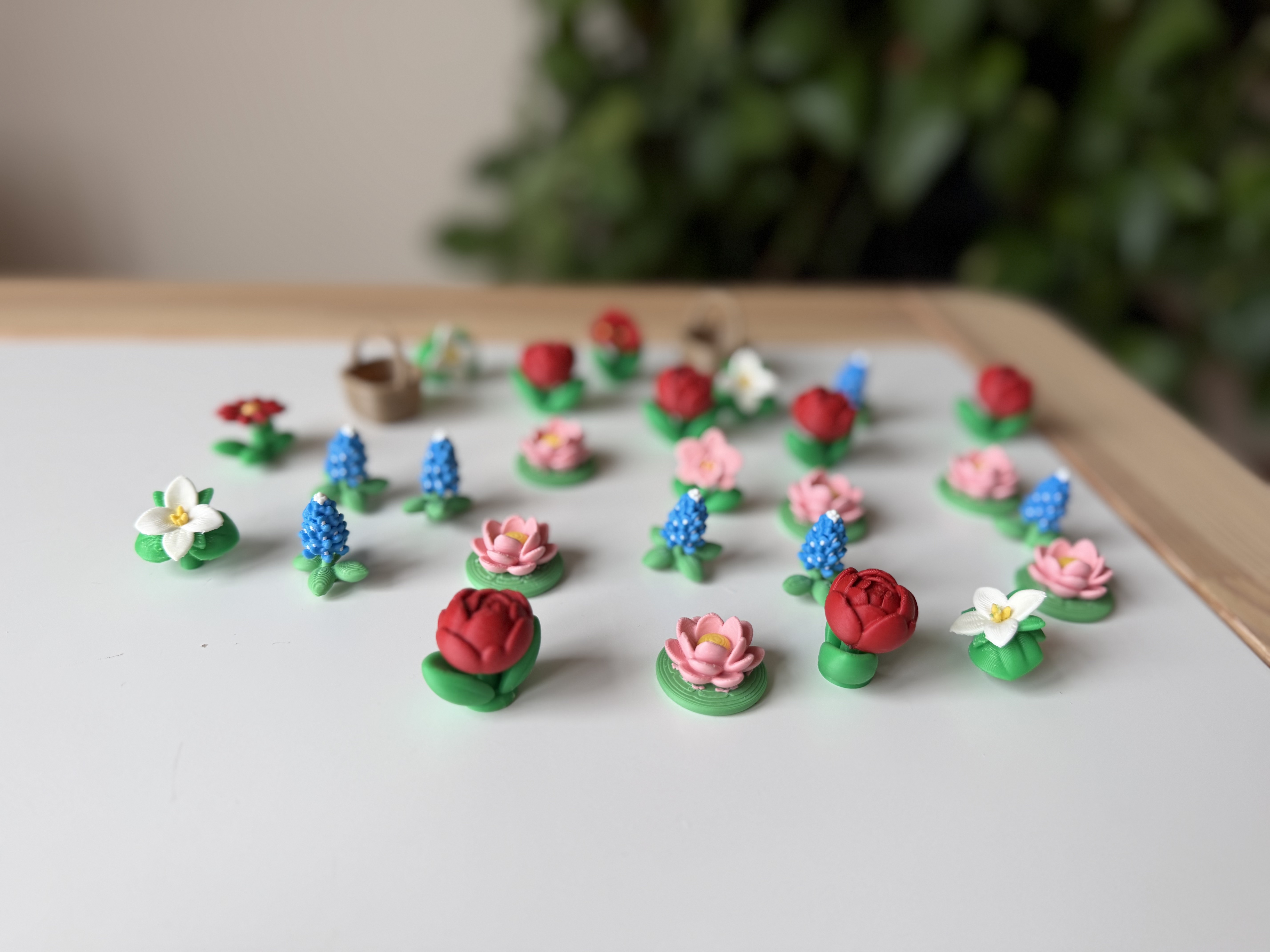 Bluebonnet — miniatura 2