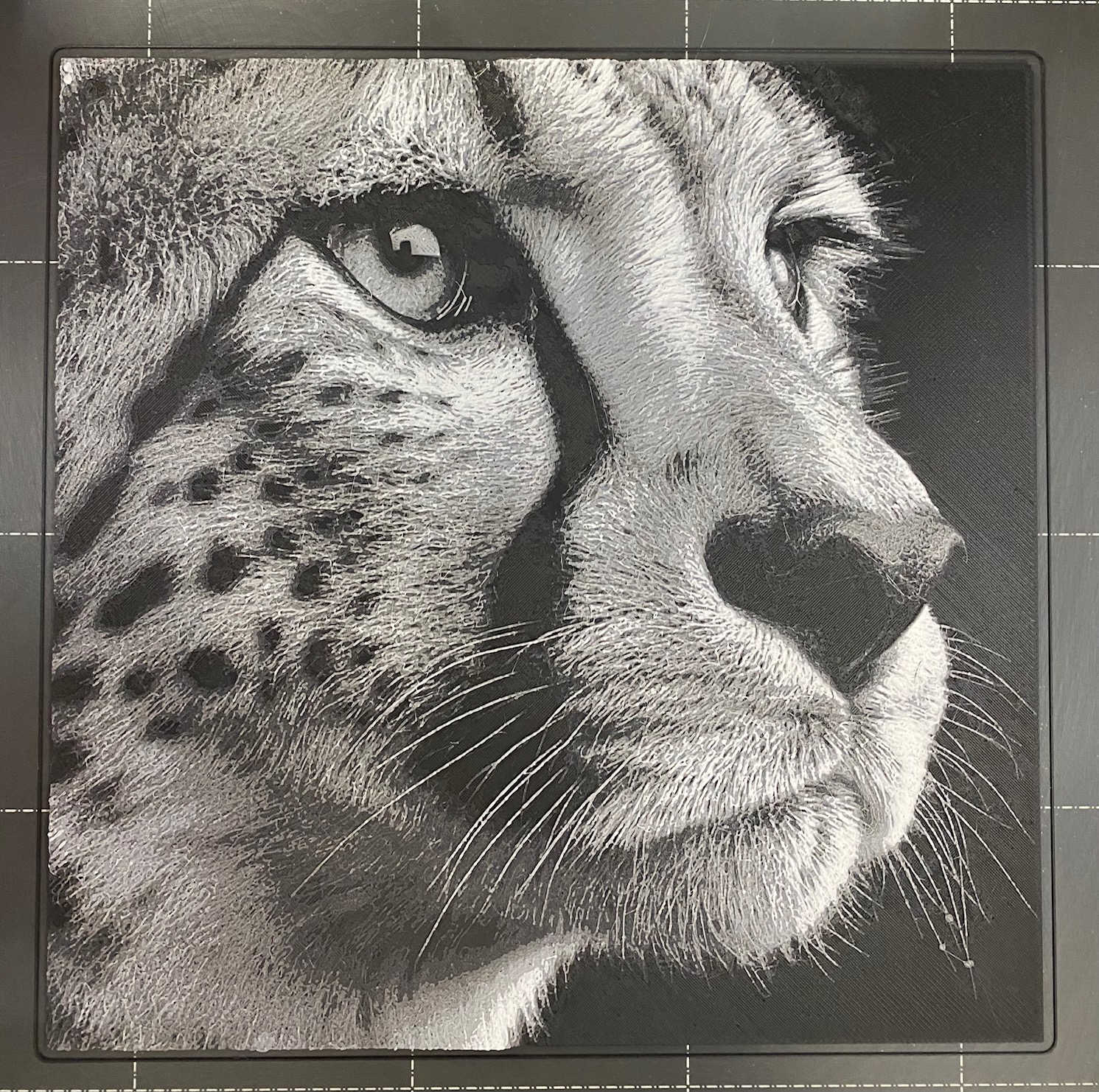Cheetah Portrait - Hueforge