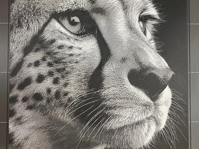 Cheetah Portrait - Hueforge