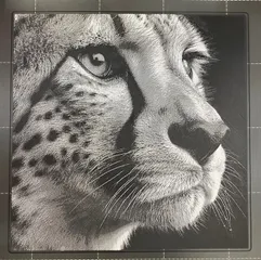 Image preview
