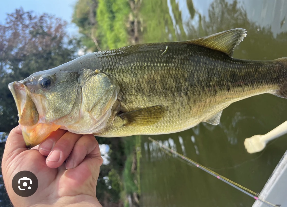 Spinner For Fishing