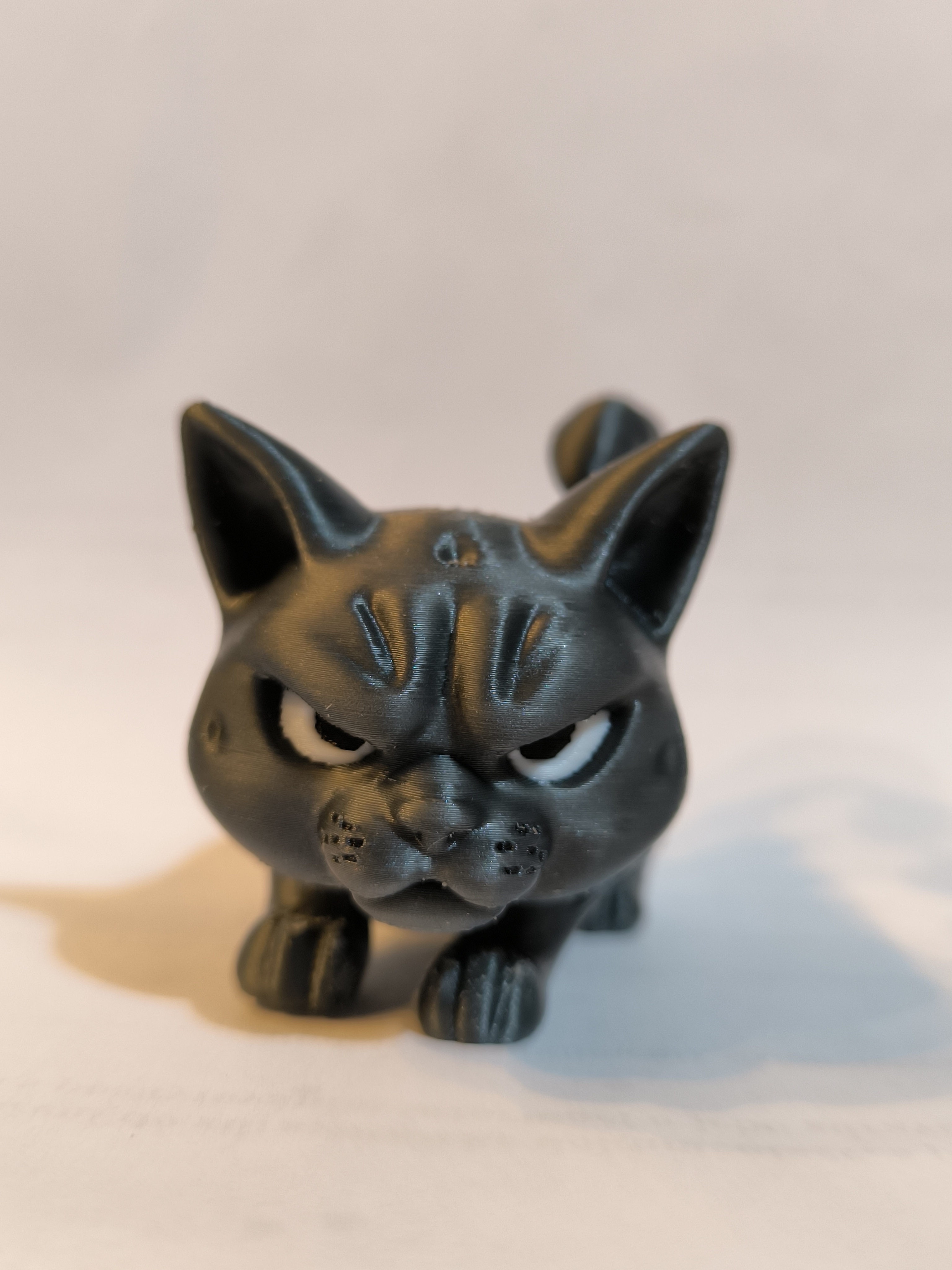 Miniatura 6 do modelo 3D Angry Cat
