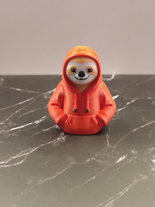 Sloth with hoodie