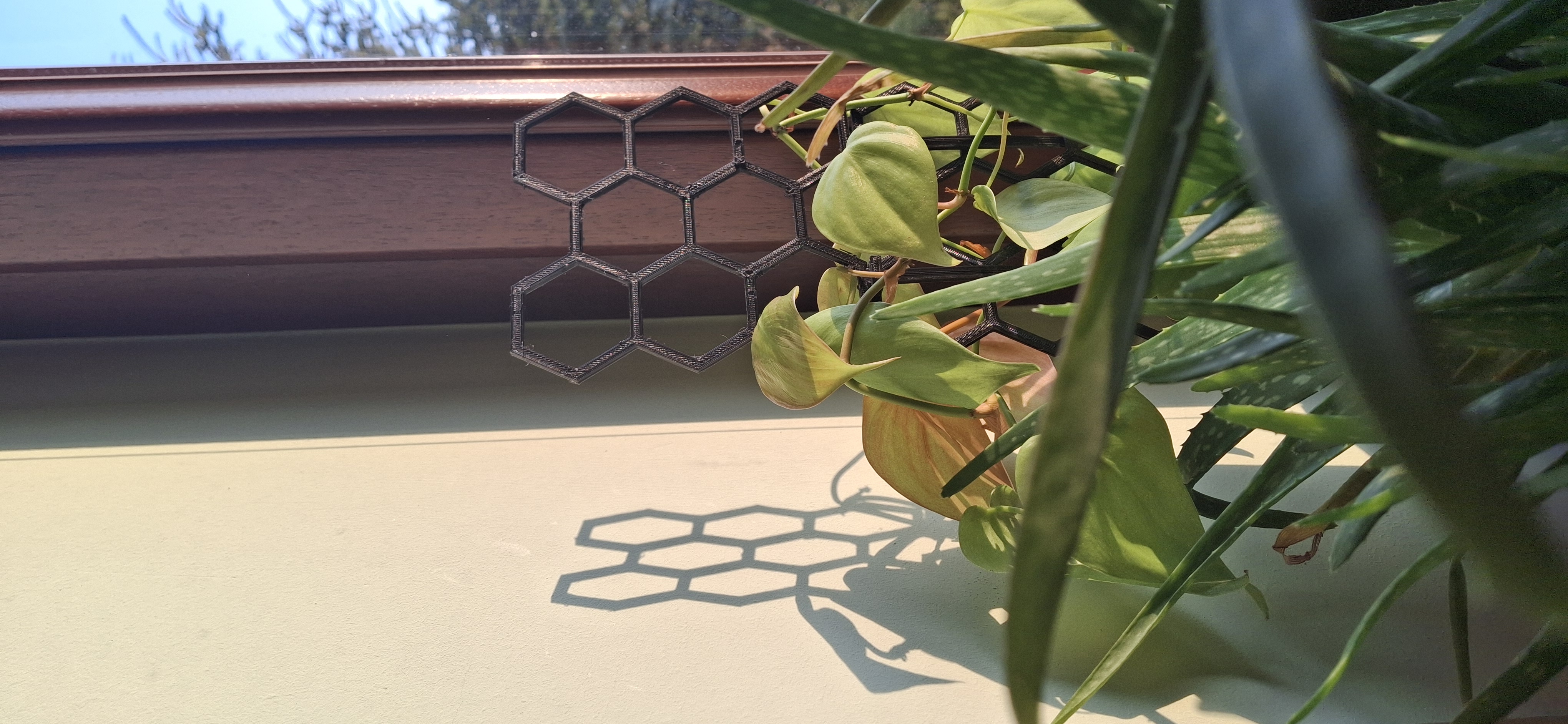 Honeycomb Plant  support — thumbnail 2