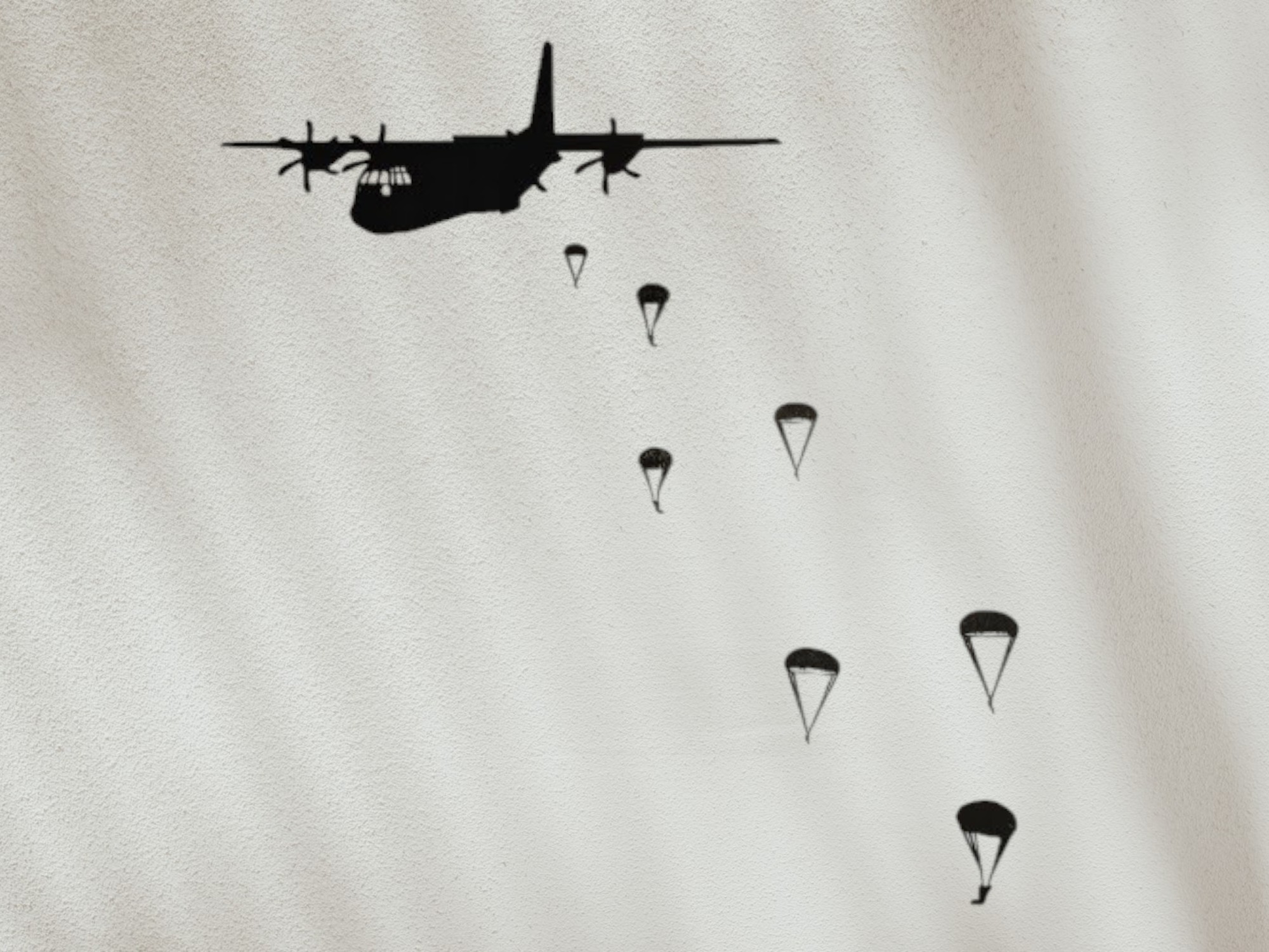 Skydive Squadron Wall Art