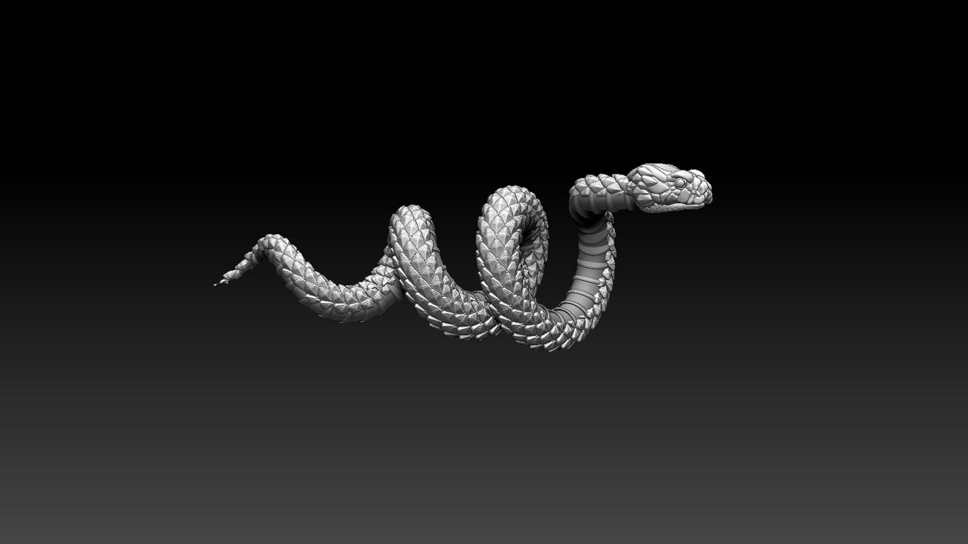Snake — thumbnail 7