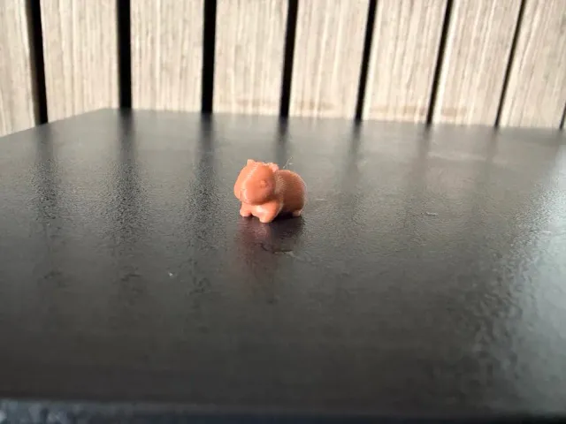 miniature Capybara