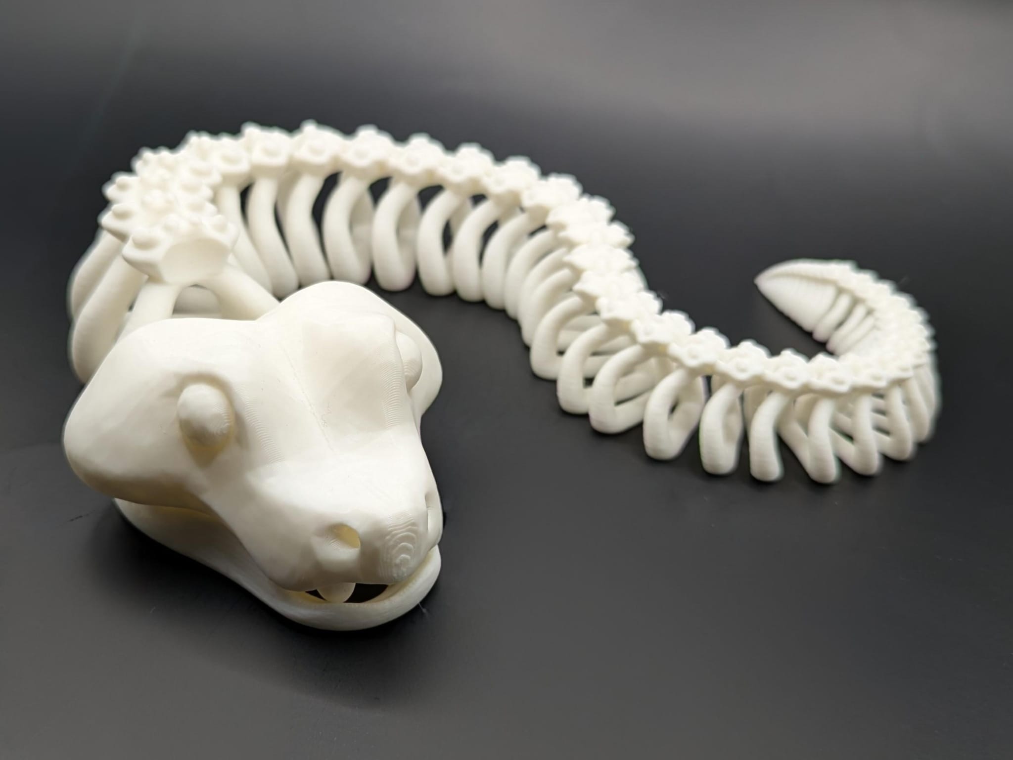 Miniatura 2 do modelo 3D Articulated Skeleton Snake