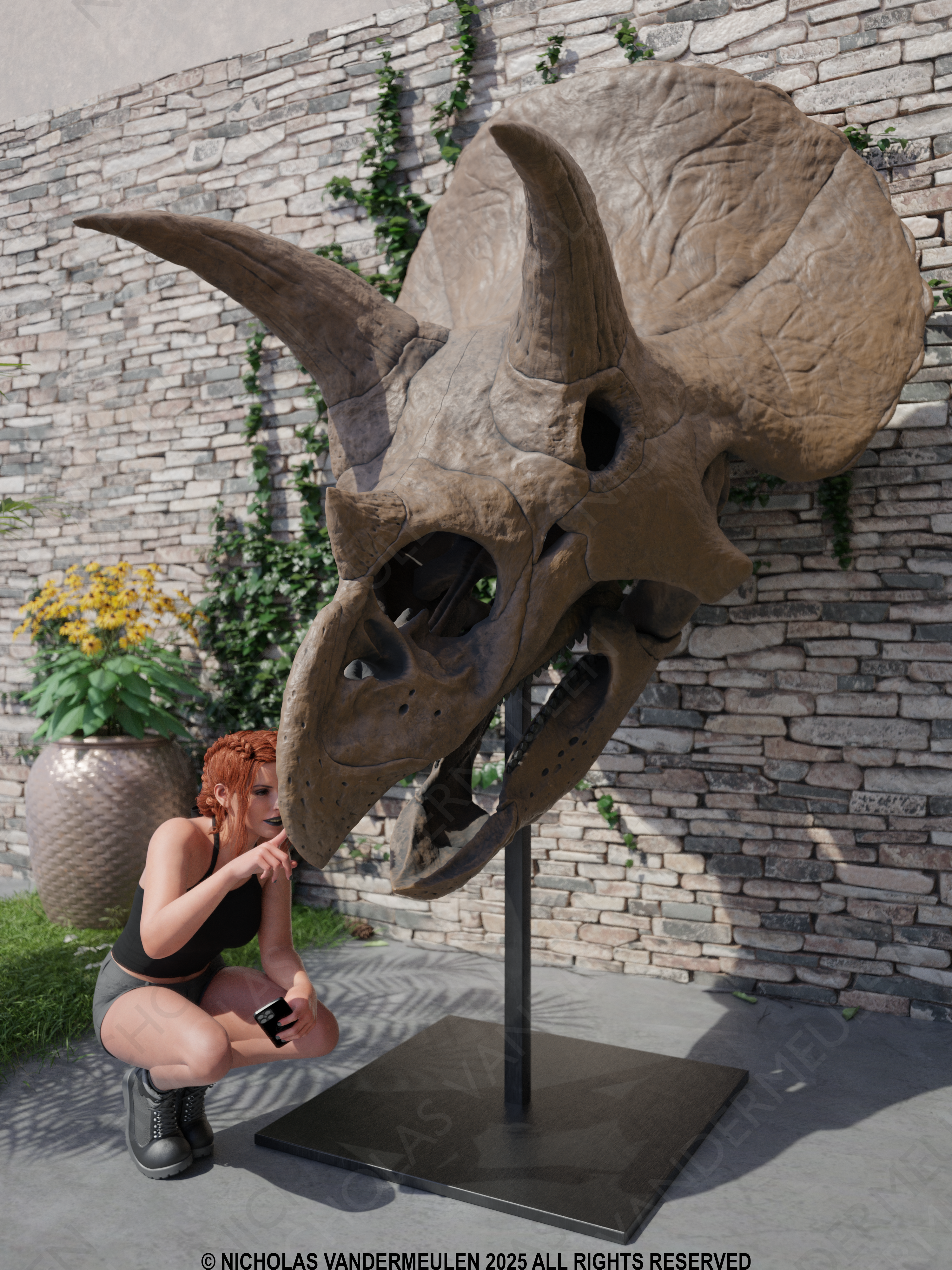 Fossil Replica of Restored Triceratops Skull