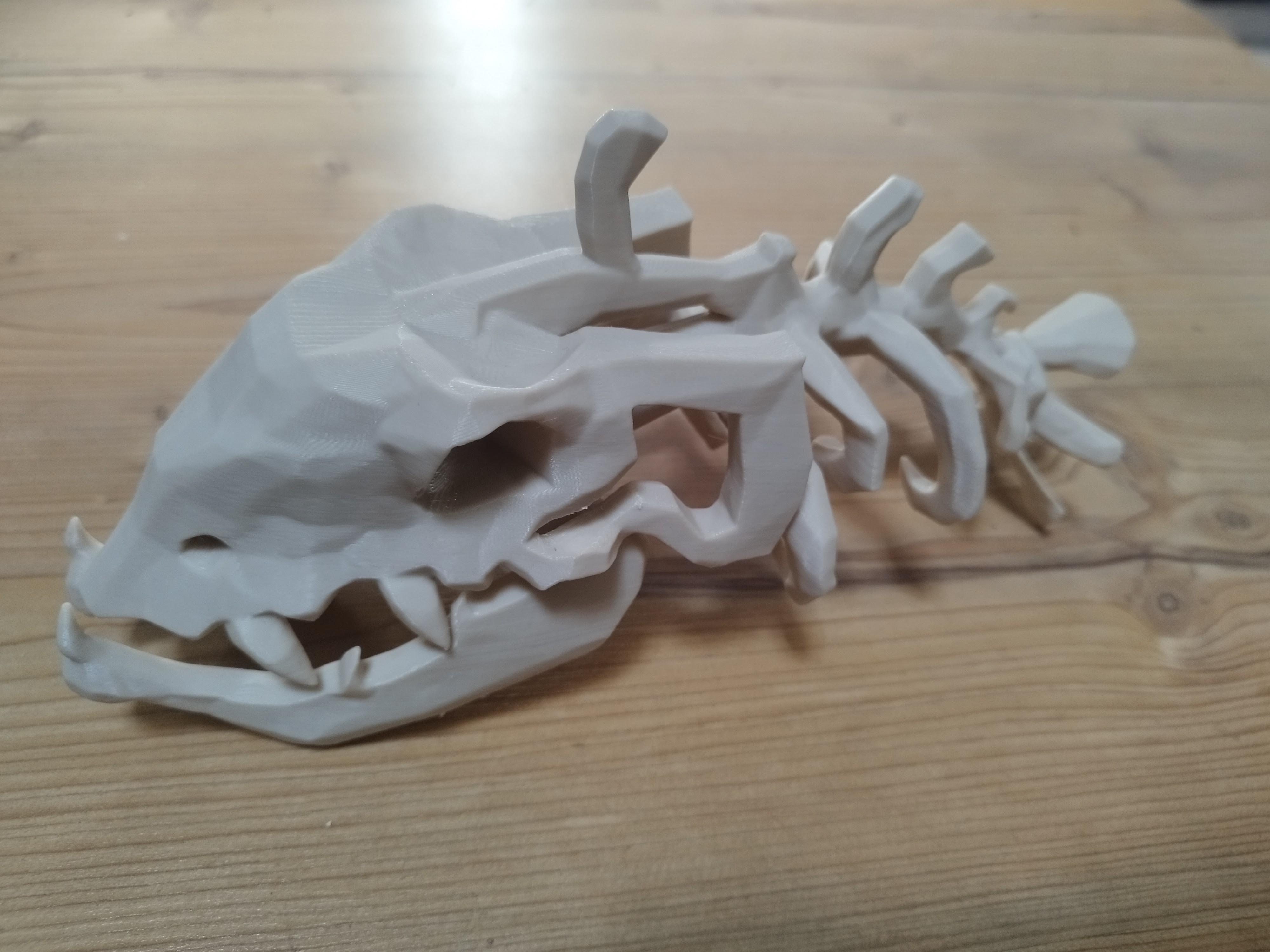 Splashtail bones