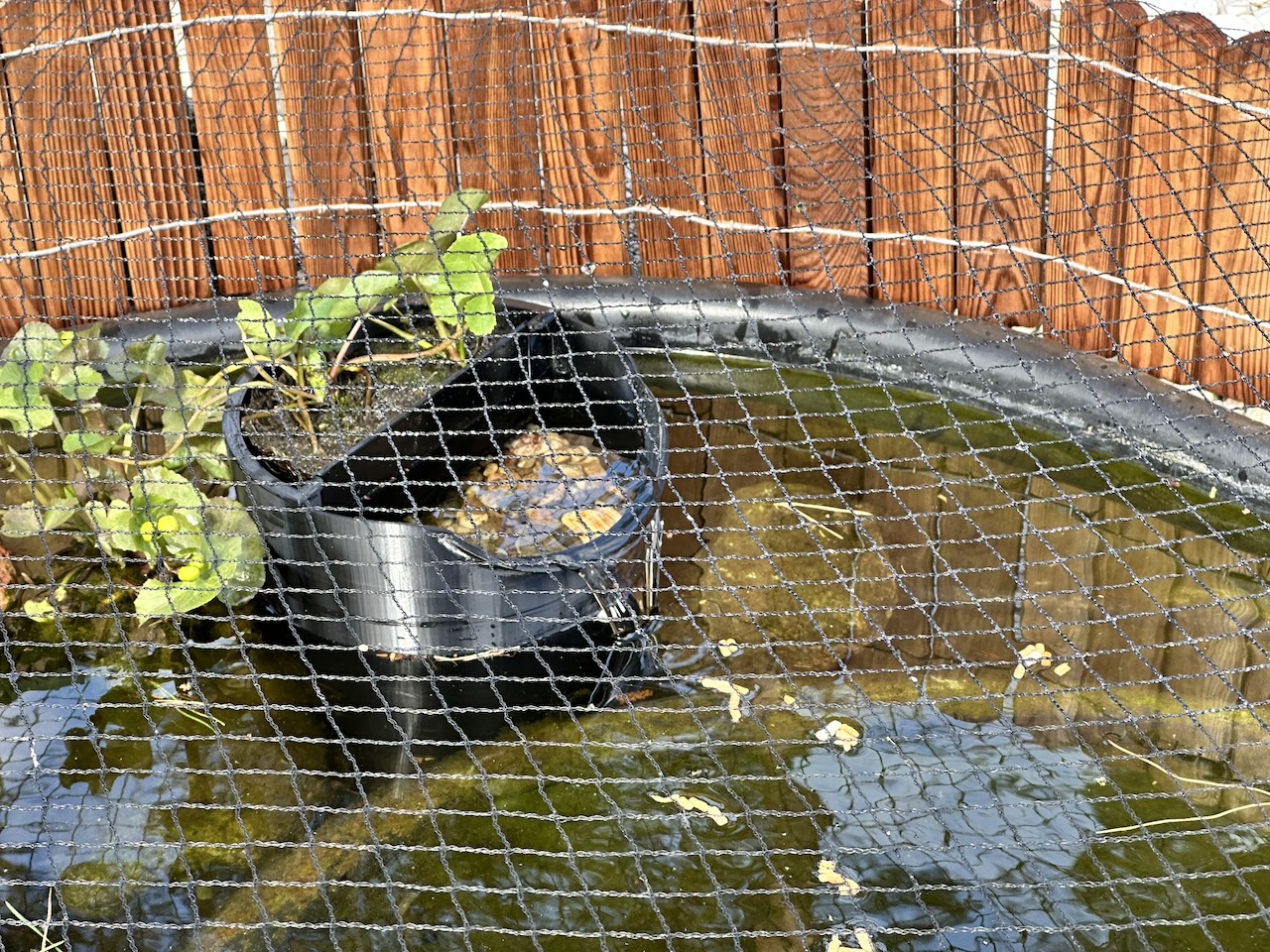 Remixed bucket for pond water outlet