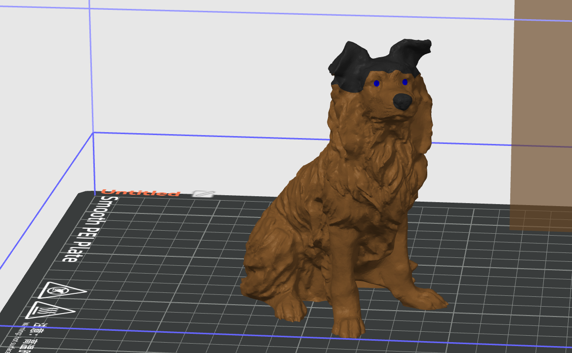 multicolor dog