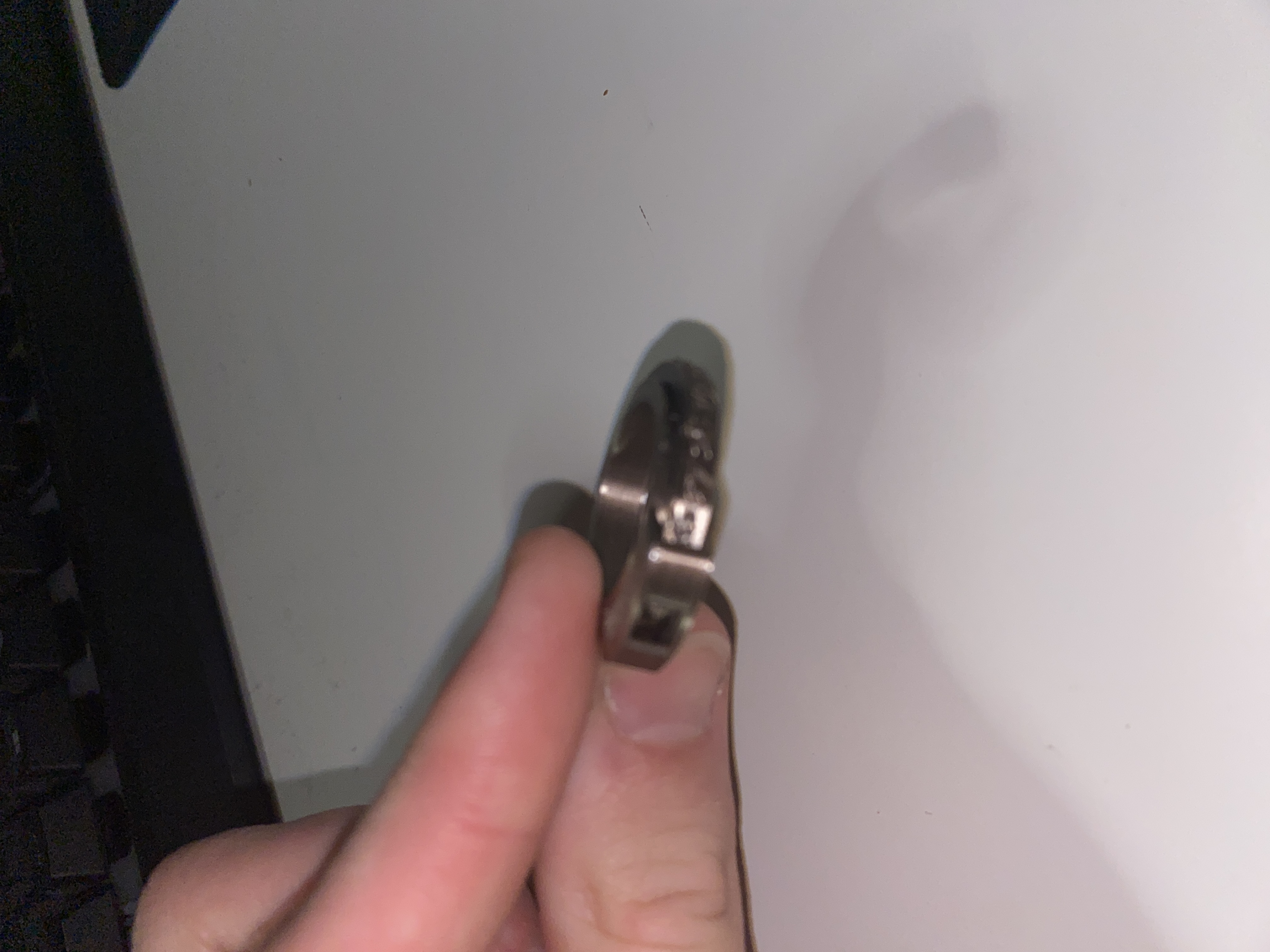 D20 Spinning Ring