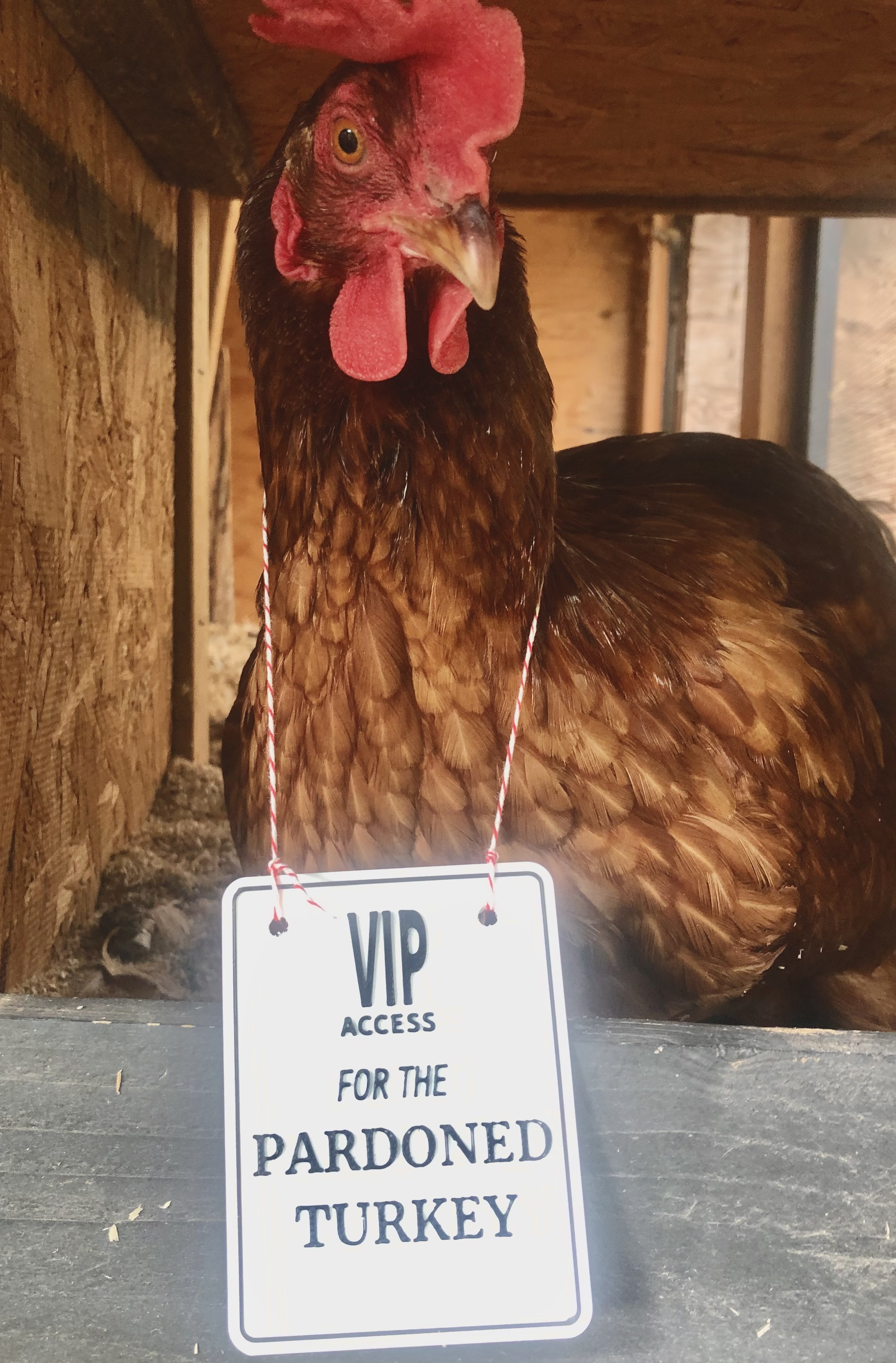 Turkey VIP sign