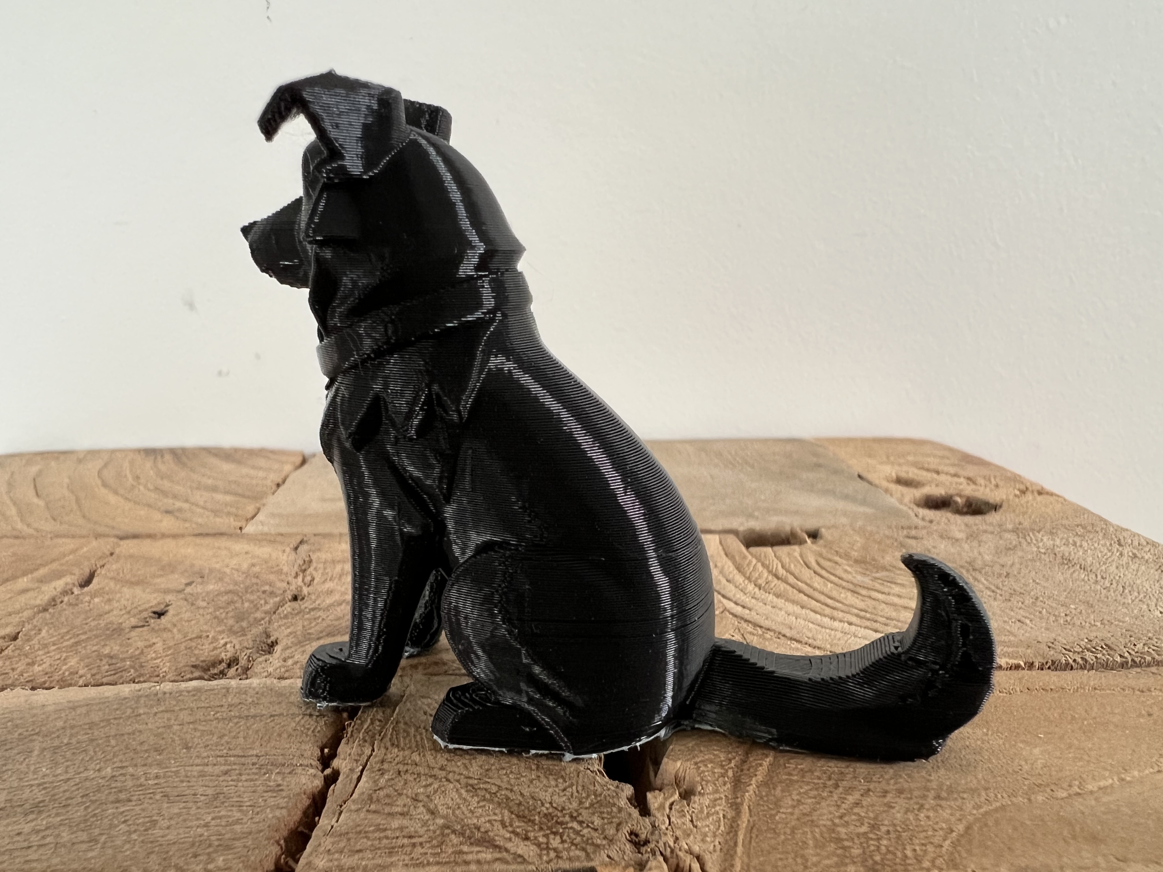 Miniatura 3 do modelo 3D Sitting Border Collie