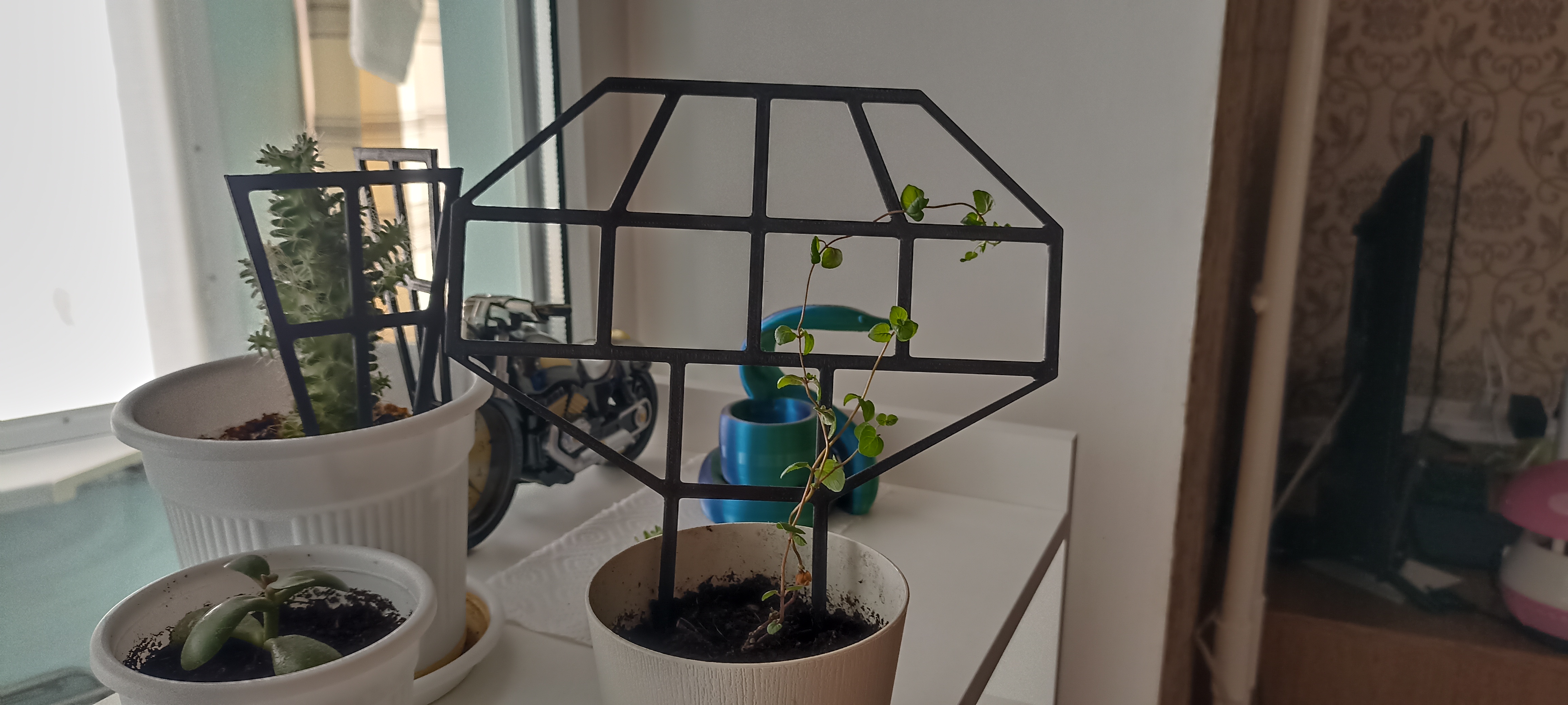 net for climbing indoor plants