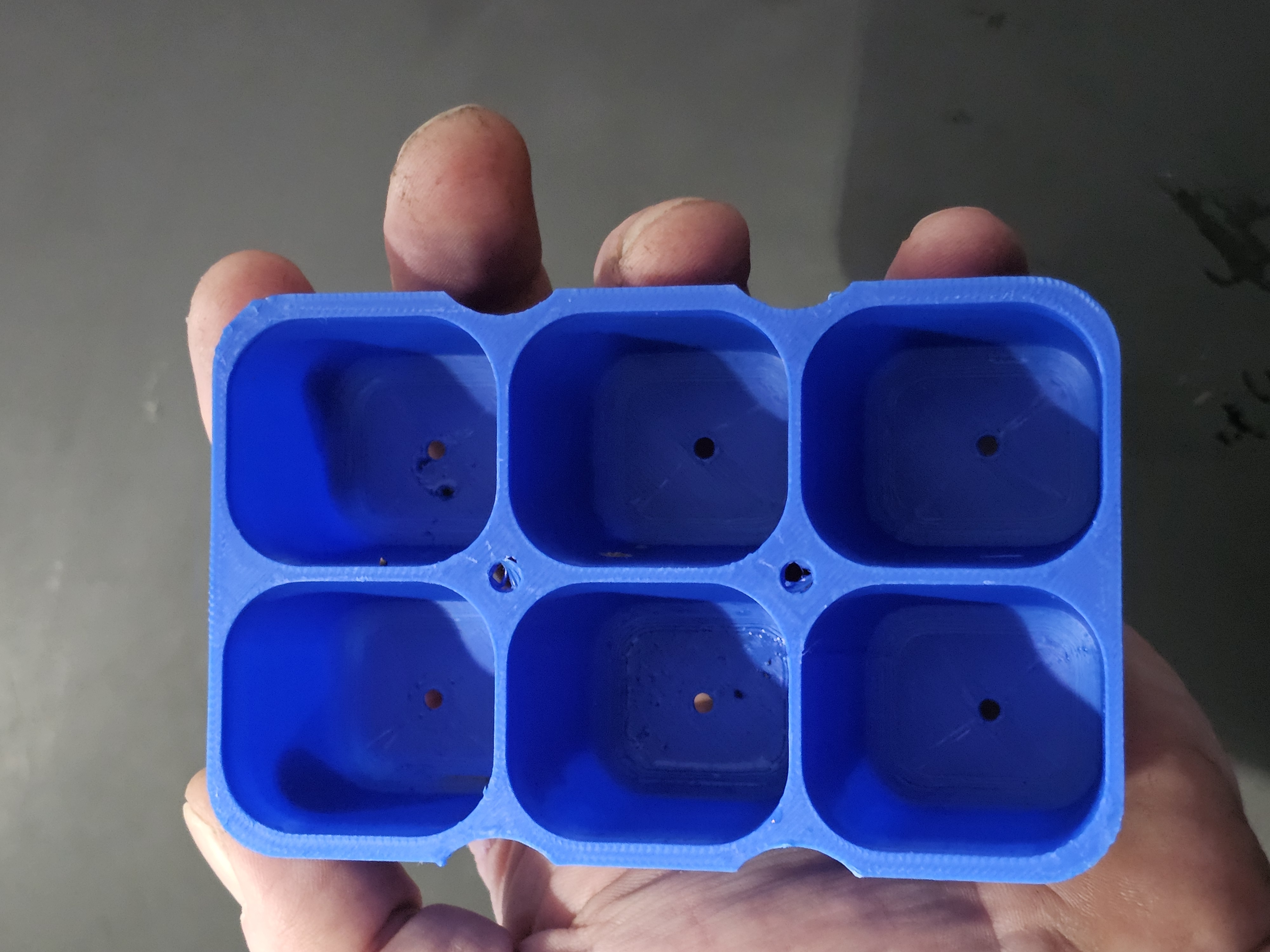 seed tray — miniatura 3
