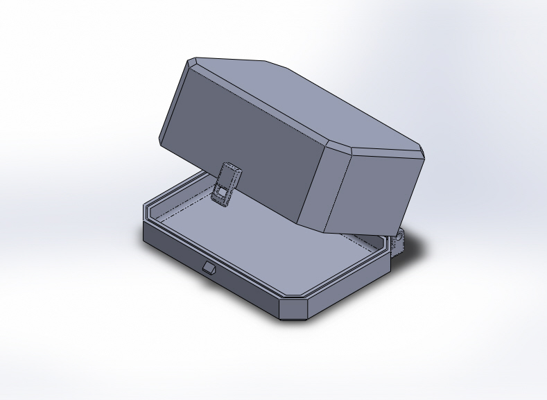 Mouse Case