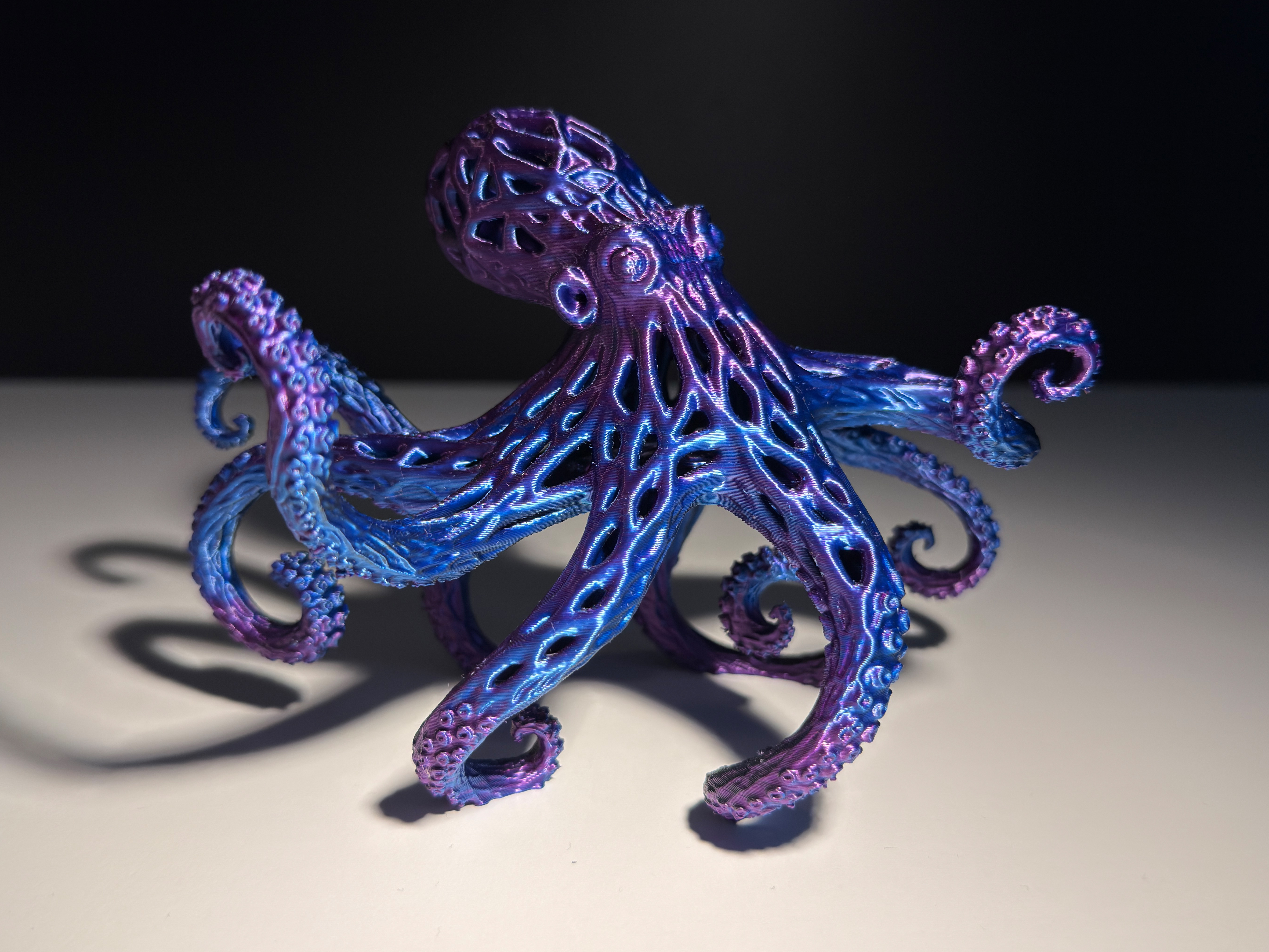 Octopus